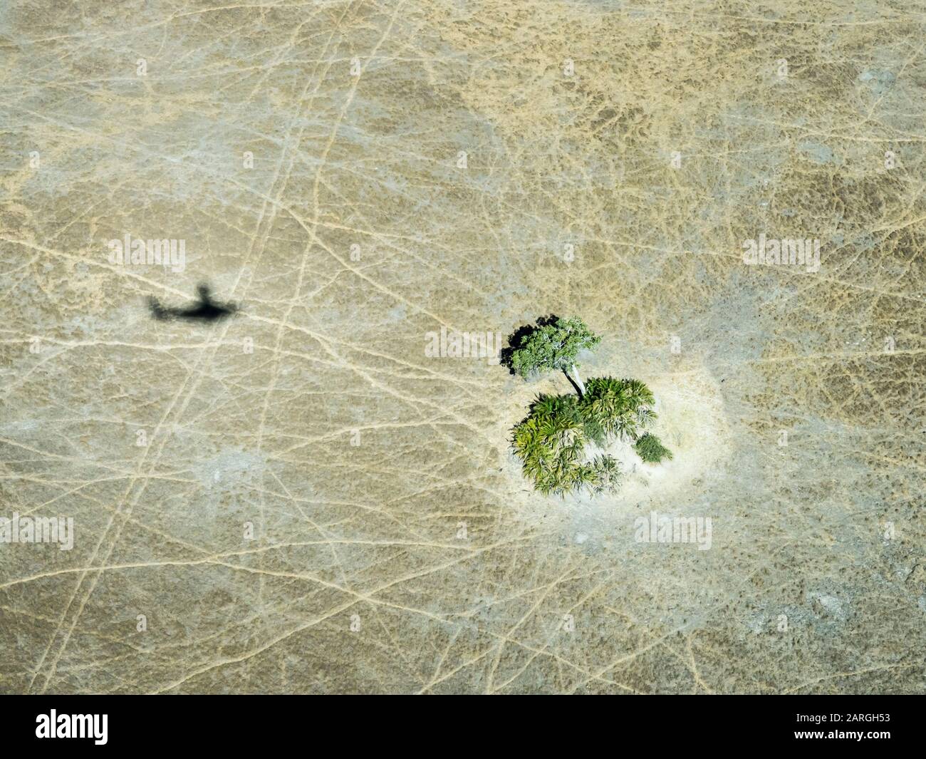 Veduta aerea del Delta dell'Okavango durante le condizioni di siccità all'inizio della caduta, Botswana, Africa Foto Stock