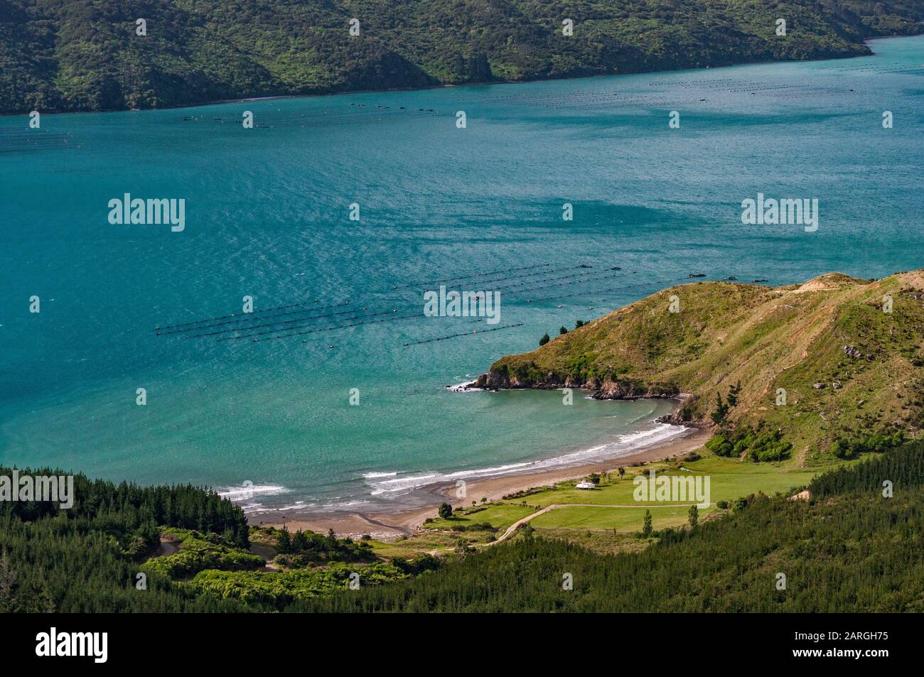 Fattoria di mitili a Squally Cove, vista da Croisilles French Pass Road, vicino al villaggio di Okiwi Bay, Marlborough Region, South Island, Nuova Zelanda Foto Stock