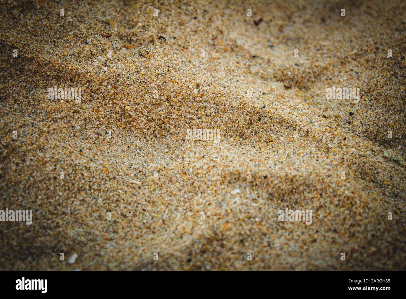 Vista sulla spiaggia di Elliot's Beach, Chennai, India Foto Stock