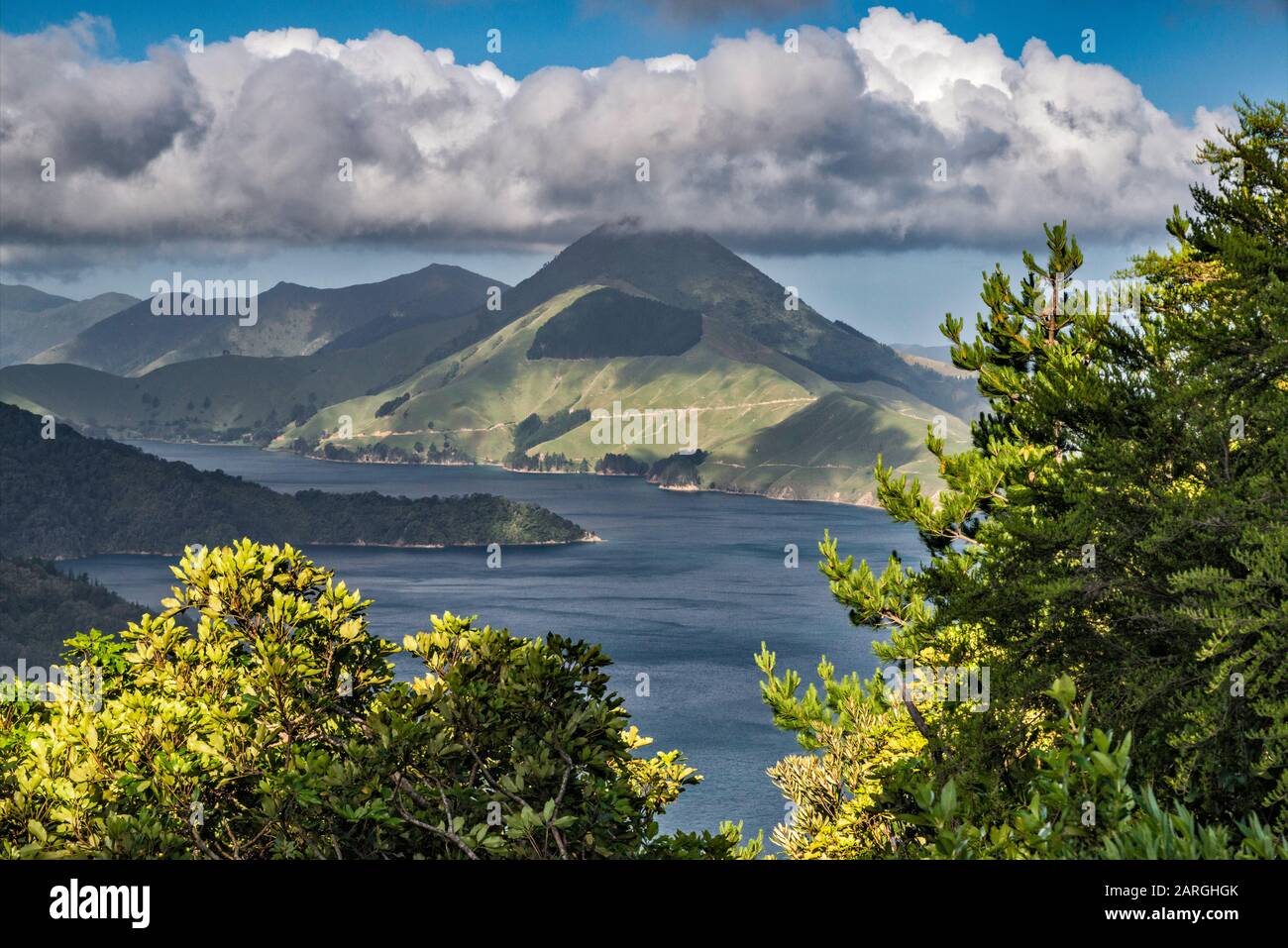 Mount Shewell, sopra Fitzroy Bay, vista da Croisilles French Pass Road, vicino al villaggio di Elaine Bay, Marlborough Region, South Island, Nuova Zelanda Foto Stock