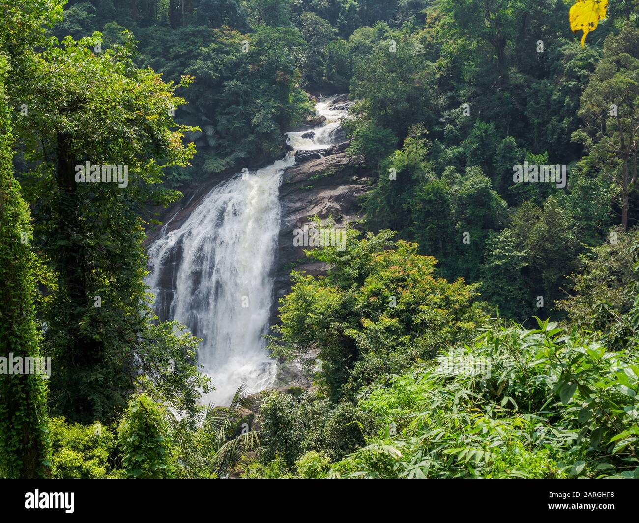 Cascata ripida nella giungla della foresta pluviale indiana in Kerala, India del sud nella giornata di sole Foto Stock