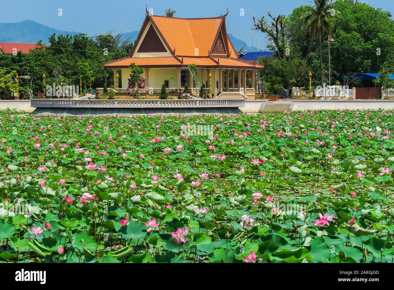 Lago ornamentale coperto di giglio da padiglione tempio in questa tranquilla ex città francese resort, Kep, Kep provincia, Cambogia, Indochina Foto Stock