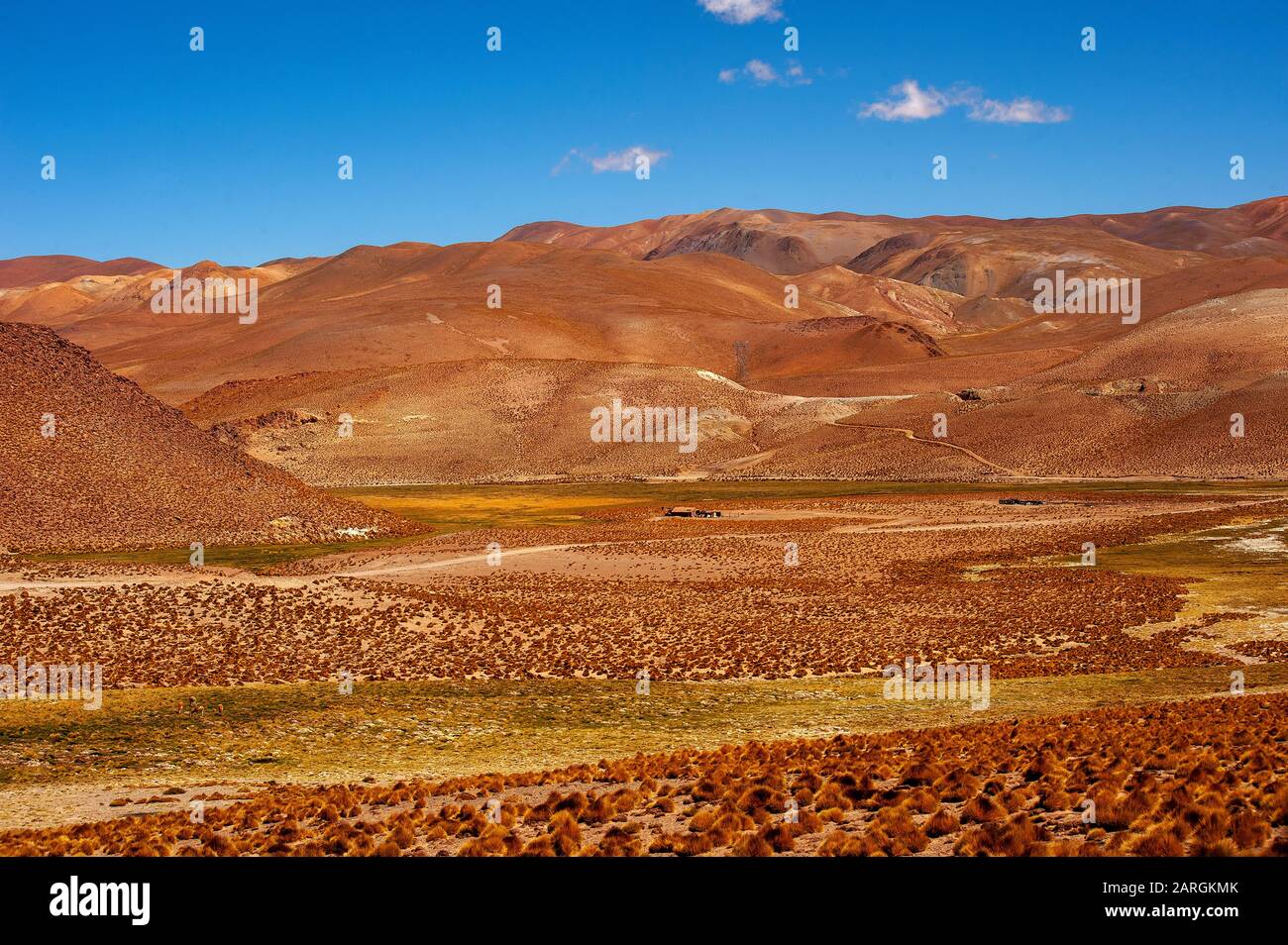 Paesaggio sulla Ruta 51 vicino al confine con il Cile a Paso Sico, Argentina Foto Stock