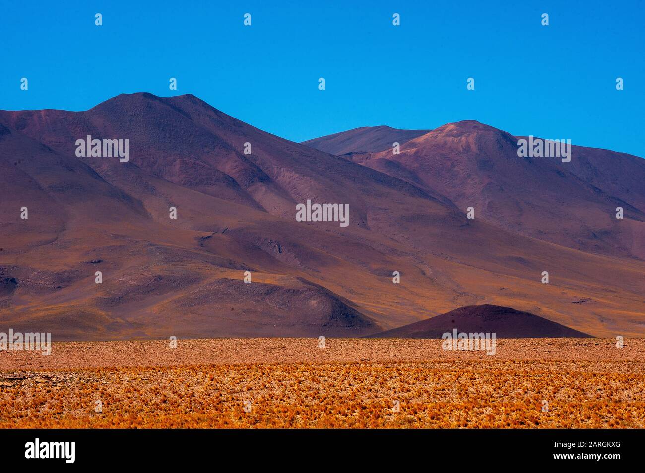 Paesaggio sulla Ruta 51 vicino al confine con il Cile a Paso Sico, Argentina Foto Stock