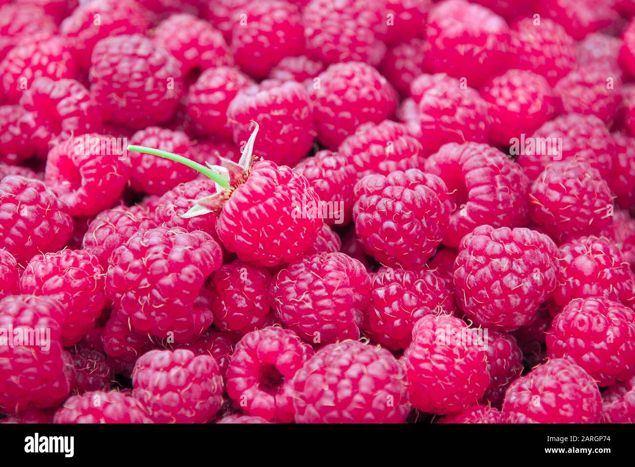 Sfondo stagionale di prodotti alimentari di selezionata foresta lamponi Foto Stock