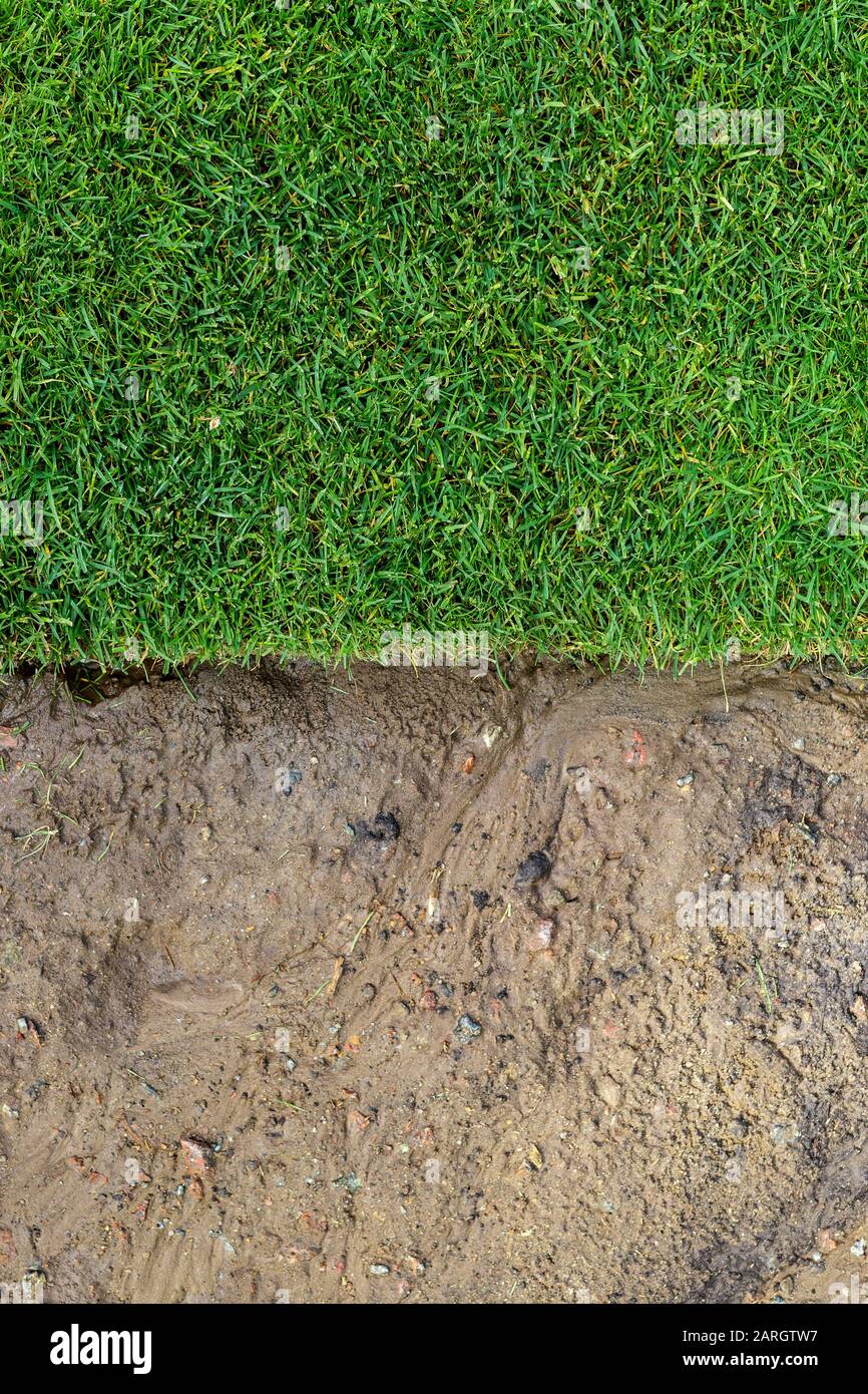Linea retta di nuovo fresco installato verde erba arrotolata prato . sporco suolo annacquato preparato per l'installazione a parco della città o cortile. Prima e dopo Foto Stock