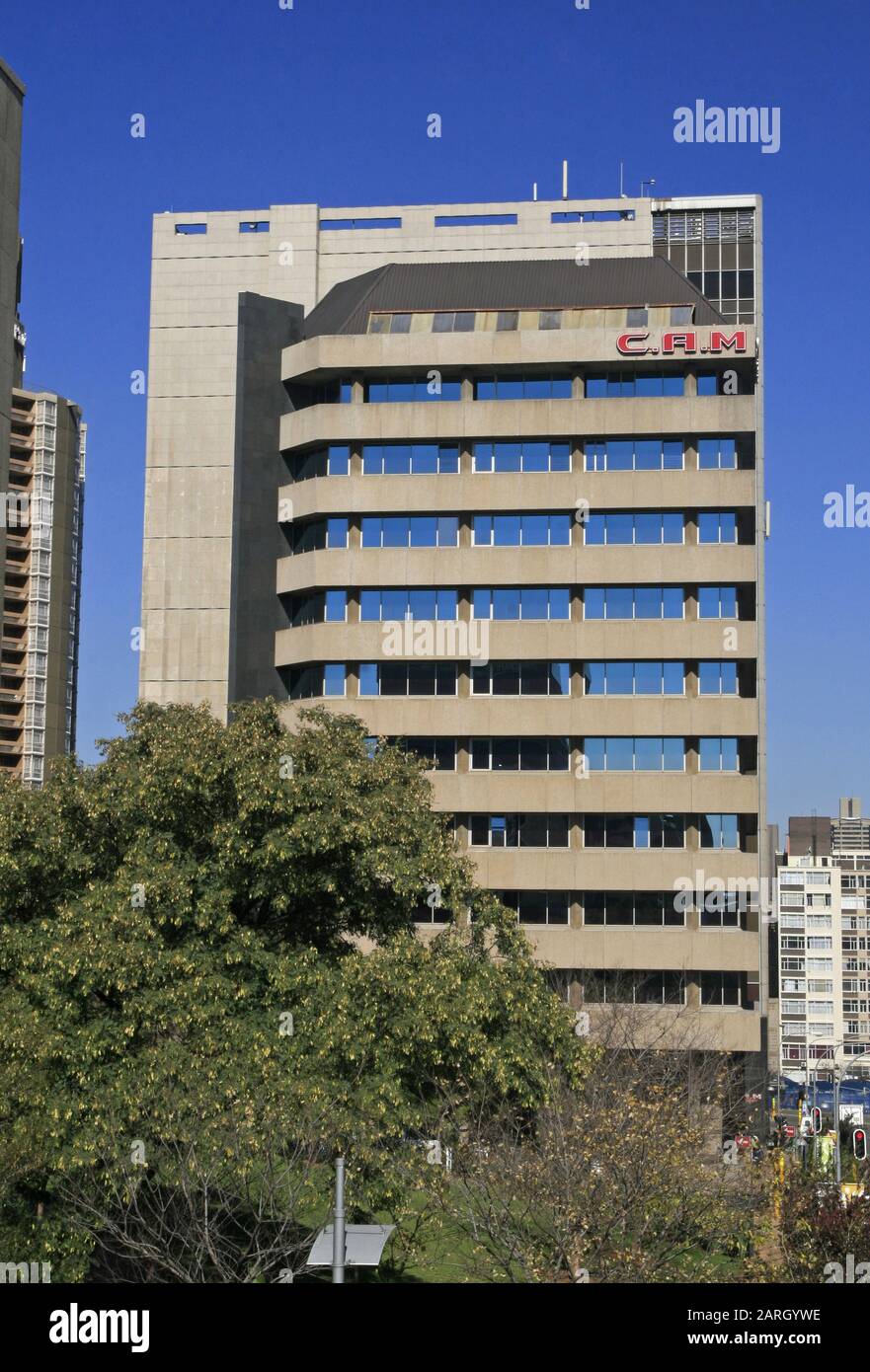 Tree and C.A.M. Building, Braamfontein, Johannesburg, Gauteng, Sudafrica. Foto Stock