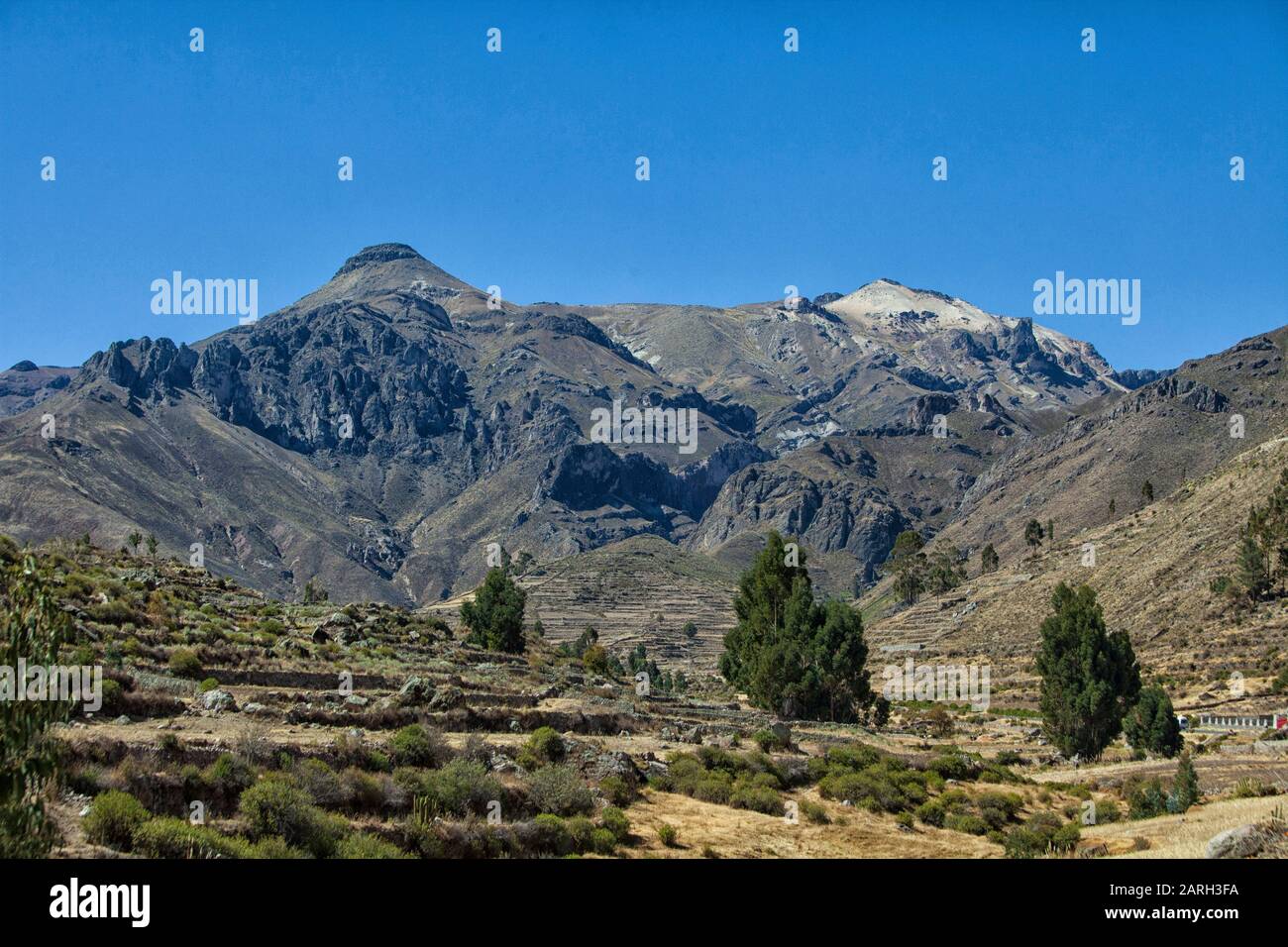 Paesaggio terrazzato vicino a Chivay nel Canyon del Colca, Chivay, Perù Foto Stock