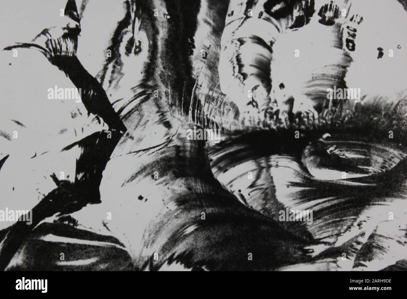 Fine anni '70 fotografia astratta estrema in bianco e nero Foto Stock