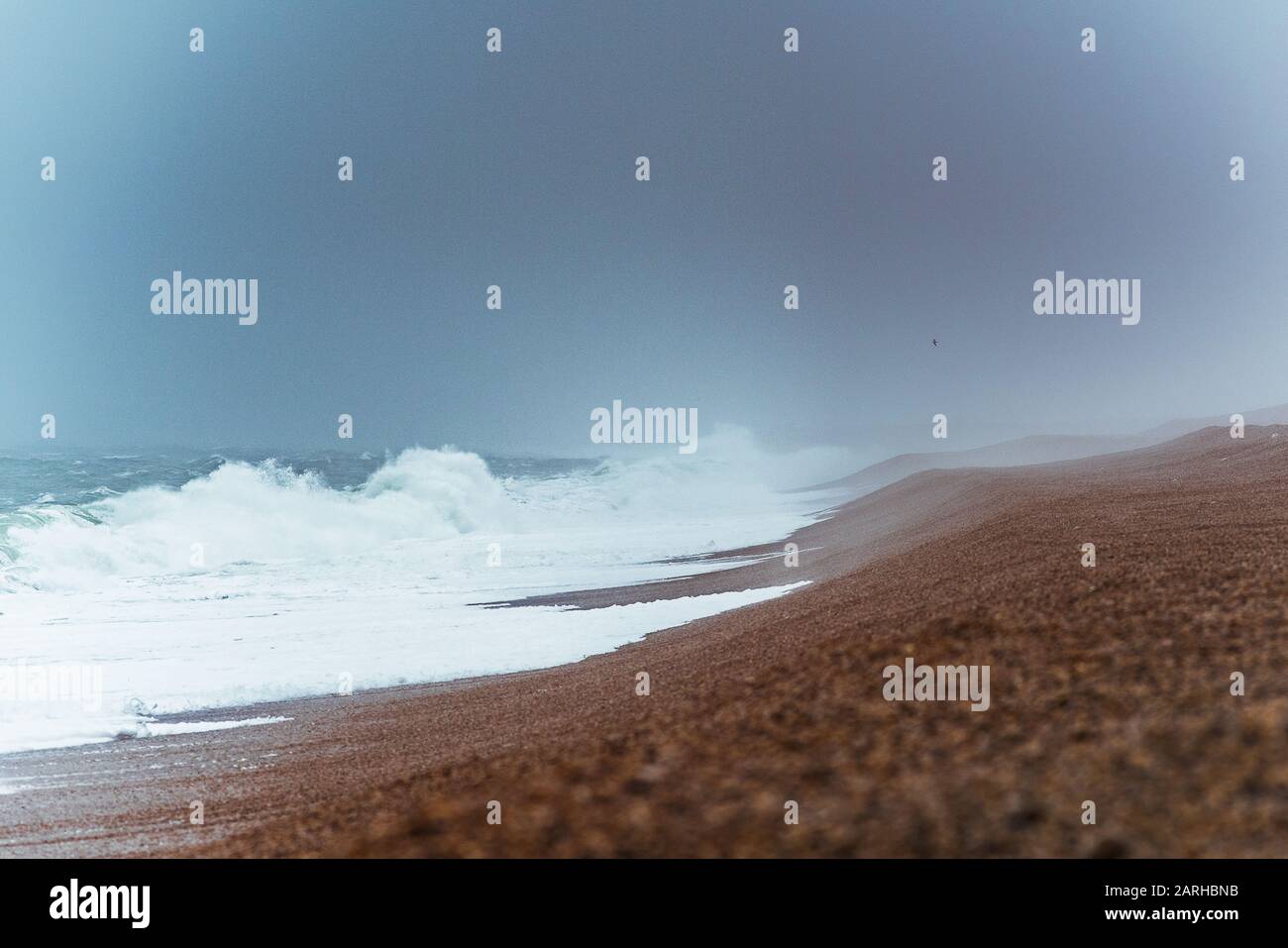 Mari tempestosi sulla spiaggia di Chesil Foto Stock