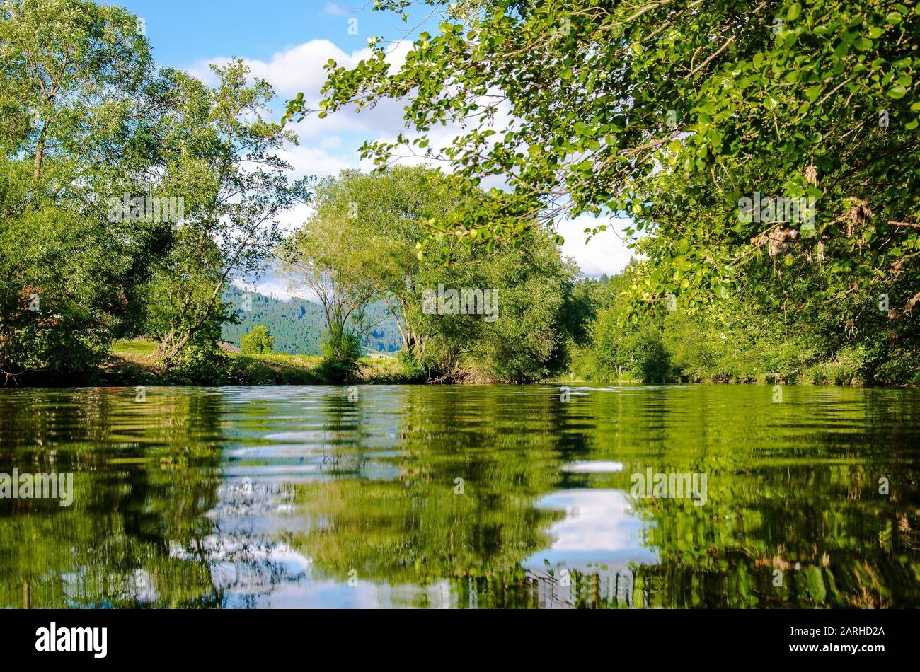 Foresta con un bellissimo lago. Bei colori verdi con riflessi. Può essere usato per molti scopi. Immagini di alta qualità. Foto Stock