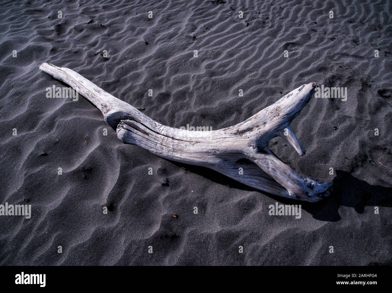 Driftwood bianco sbiancato contro il colore scuro e morbido della sabbia nera a Oakura Beach, Nuova Zelanda Foto Stock