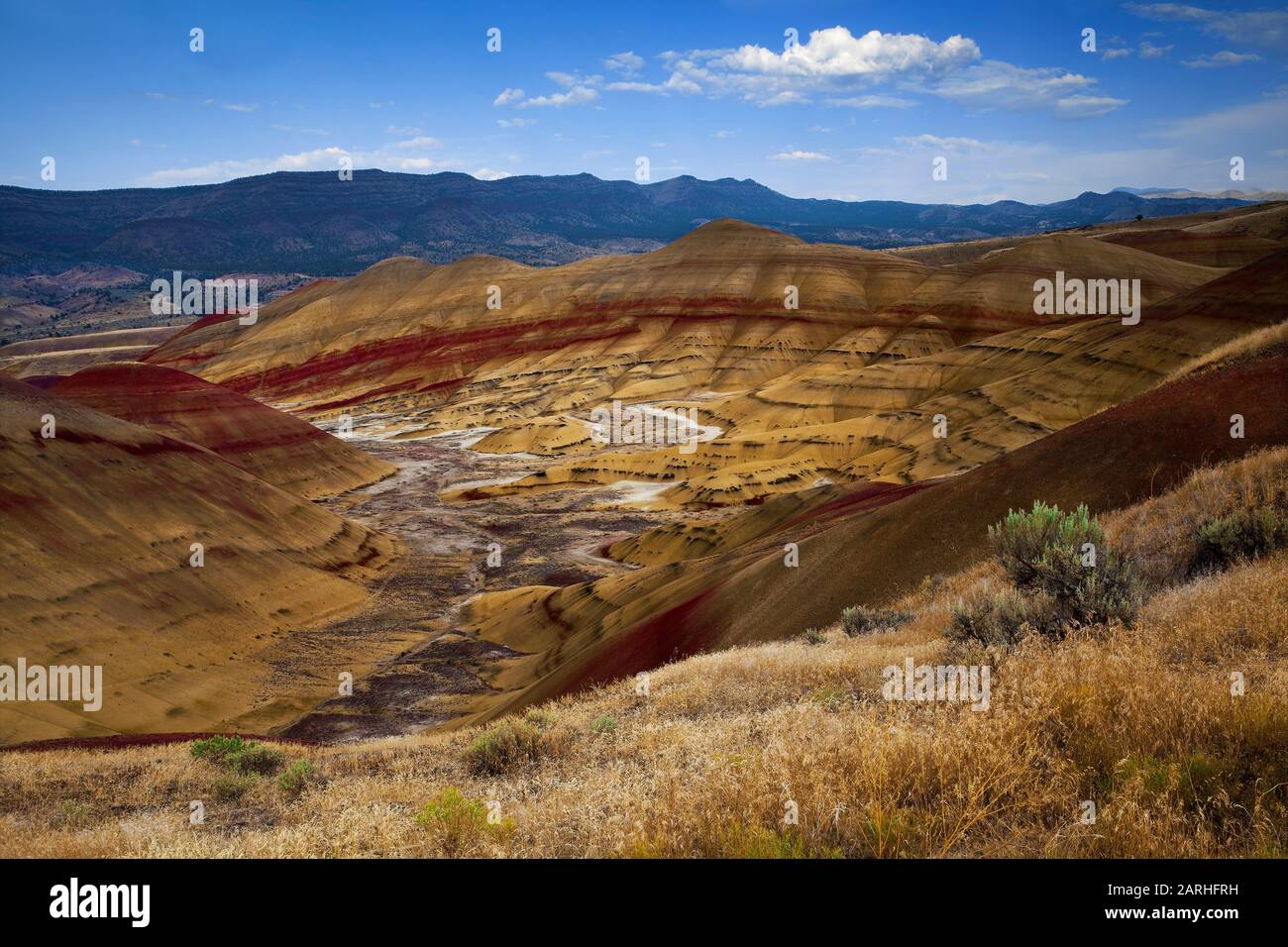 Splendidi strati di colore a Painted Hills - una delle tre unità del John Day Fossil Beds National Monument in Oregon Foto Stock