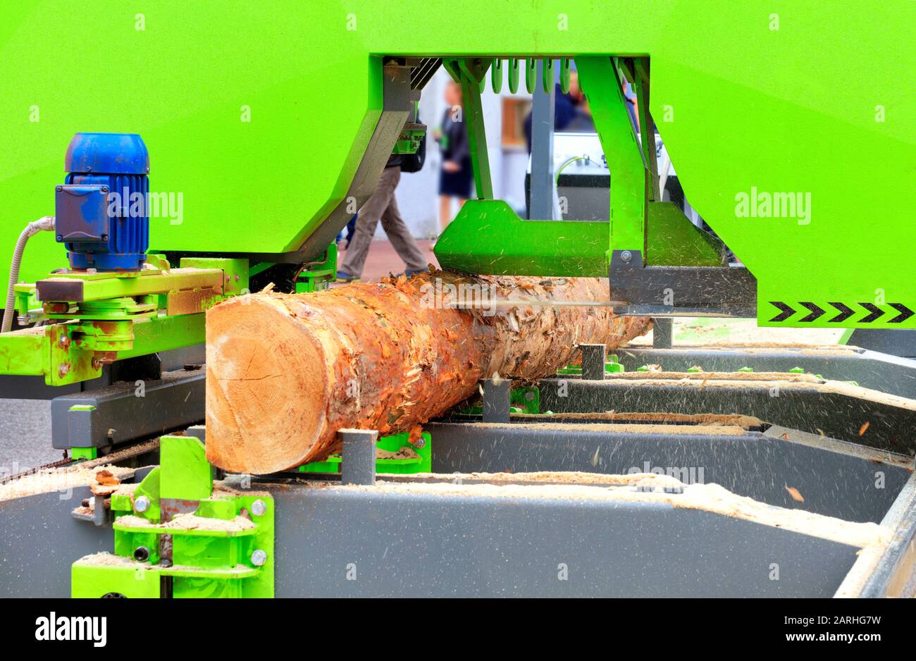Un grande tronco di pino viene tagliato automaticamente in modo rapido e preciso in una segheria moderna, ricevendo il necessario legname. Foto Stock