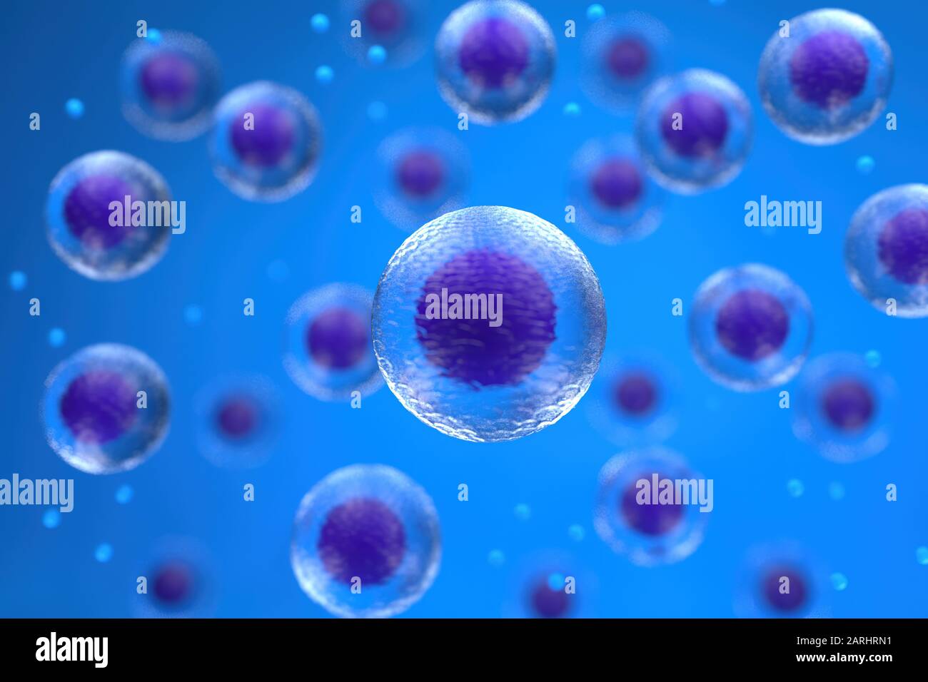 Il rendering 3D della biologia cellulare si occupa della più piccola unità di vita. Foto Stock