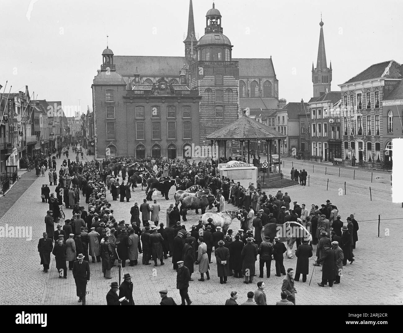 Goes stallion approval Date: February 15, 1951 Location: Goes Keywords: Stalloni, approvazioni Foto Stock