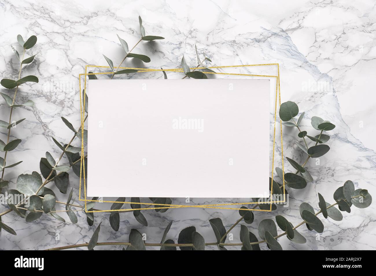 Ramoscelli in eucalipto su tavolo in marmo con pagina in carta bianca con cornici in oro geometrico. Concetto minimo. Sfondo con copia-spazio e decorazioni alla moda. Foto Stock