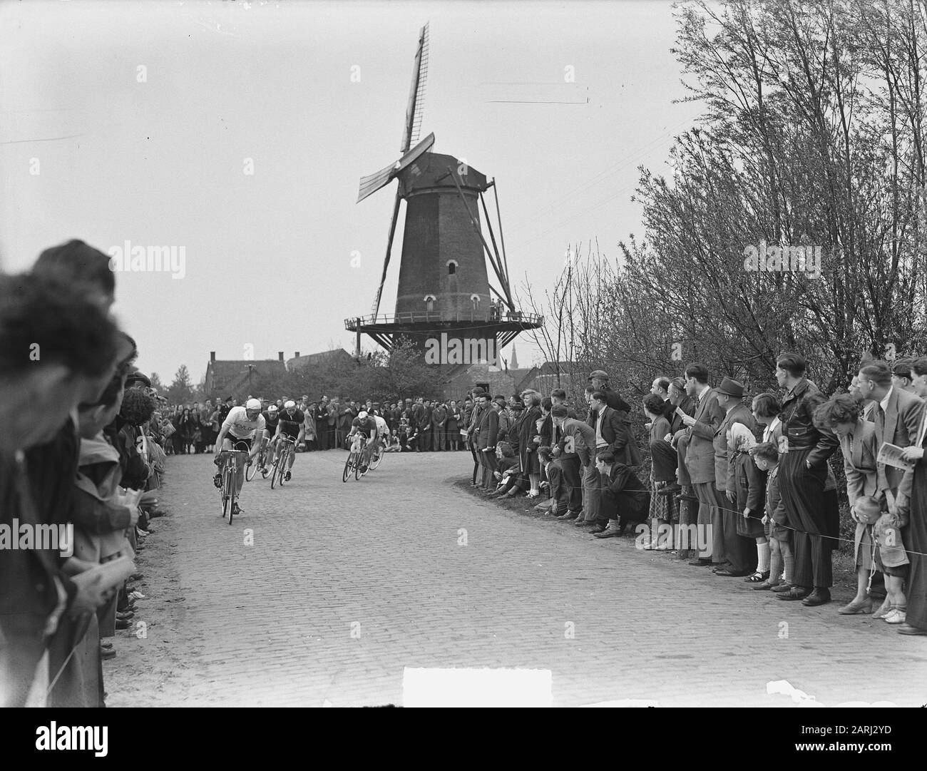 Ciclismo criterio a Etten weg Data: 3 maggio 1951 Località: Etten Parole Chiave: Mulini, sport, ciclismo Foto Stock