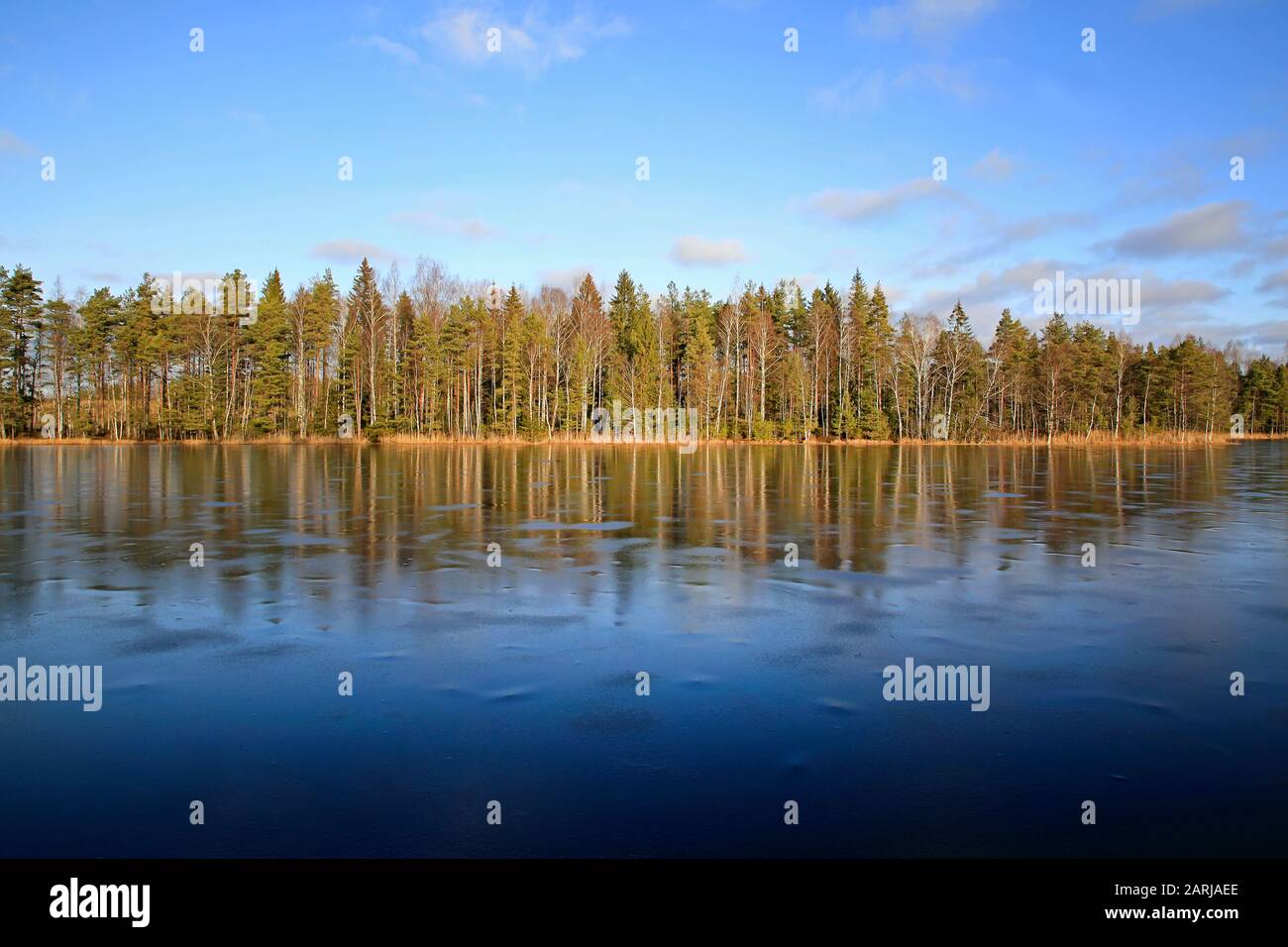 Piccolo lago rurale di Sorgasto a Salo, Finlandia, sottilmente ricoperto di ghiaccio in un giorno invernale soleggiato con cielo blu brillante. 25 Gennaio 2020. Foto Stock