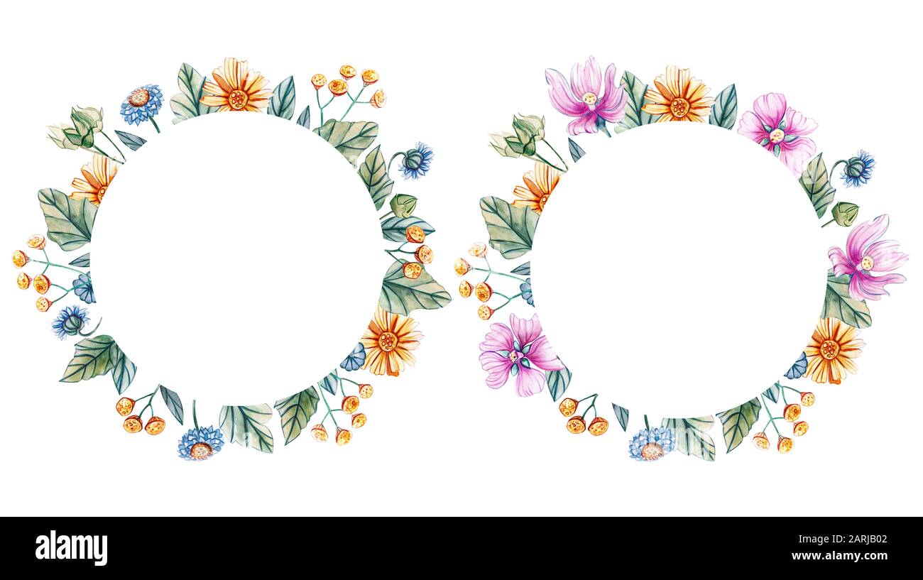 Cornici rotonde con fiori selvatici acquerello. Wreaths per un matrimonio su sfondo bianco con fiori di mallow, margherite, tansy, garofani. C'è una p Foto Stock