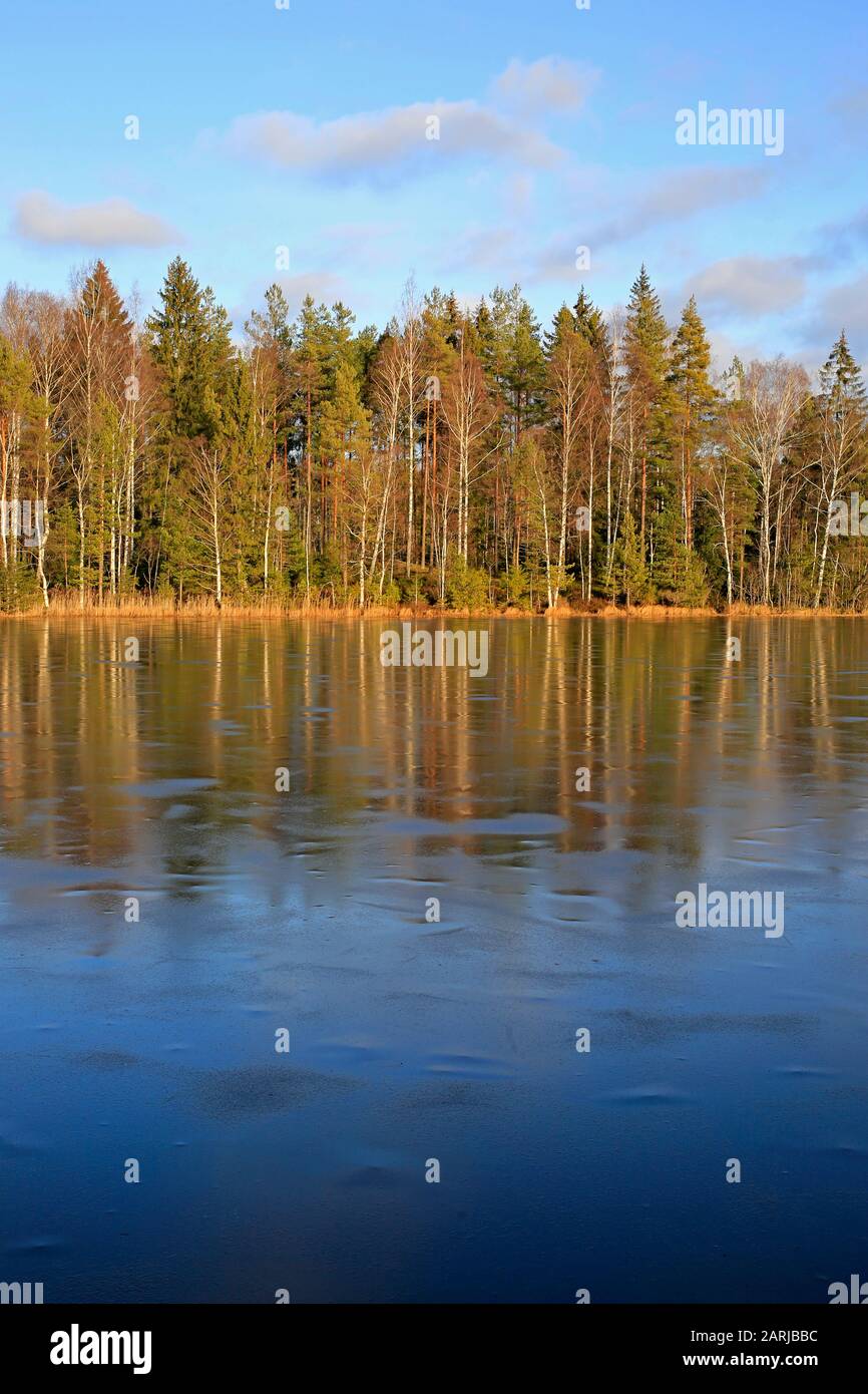 Piccolo lago rurale di Sorgasto a Salo, Finlandia, sottilmente ricoperto di ghiaccio in un giorno invernale soleggiato con cielo blu brillante. Vista verticale. 25 Gennaio 2020. Foto Stock