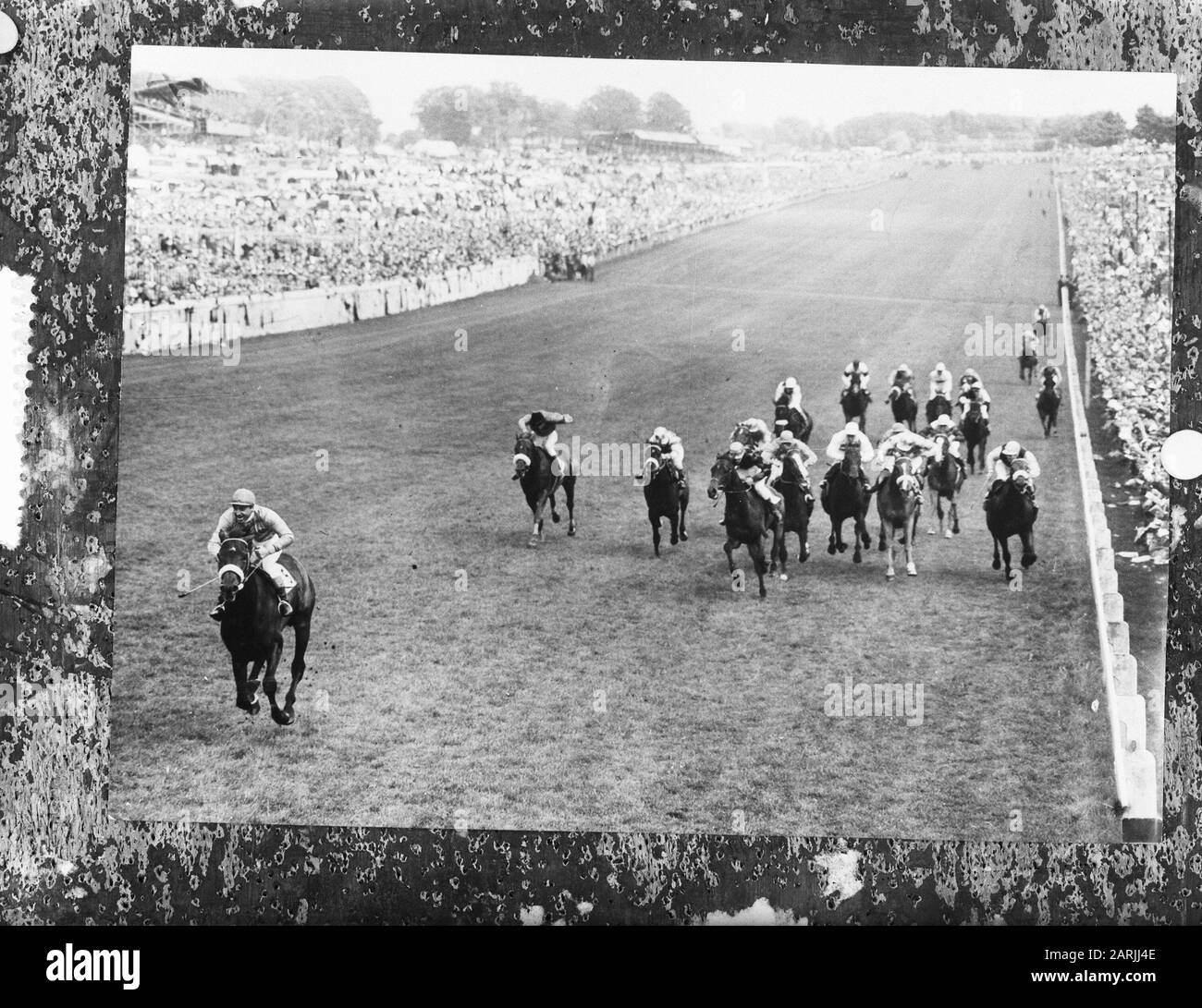 REPROS van trotto (per l'allargamento) Data: 21 marzo 1961 Parole Chiave: Trot- en racing Foto Stock