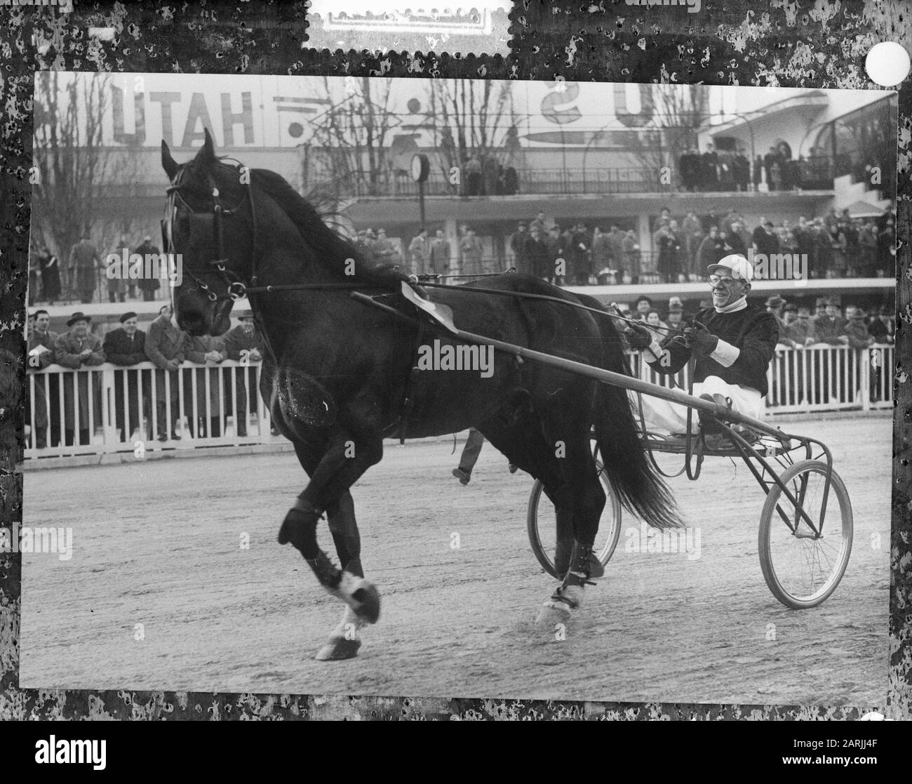 REPROS van trotting (for enlargement) Annotation: Repronegative Date: March 21, 1961 Keywords: Trot- en racing Foto Stock