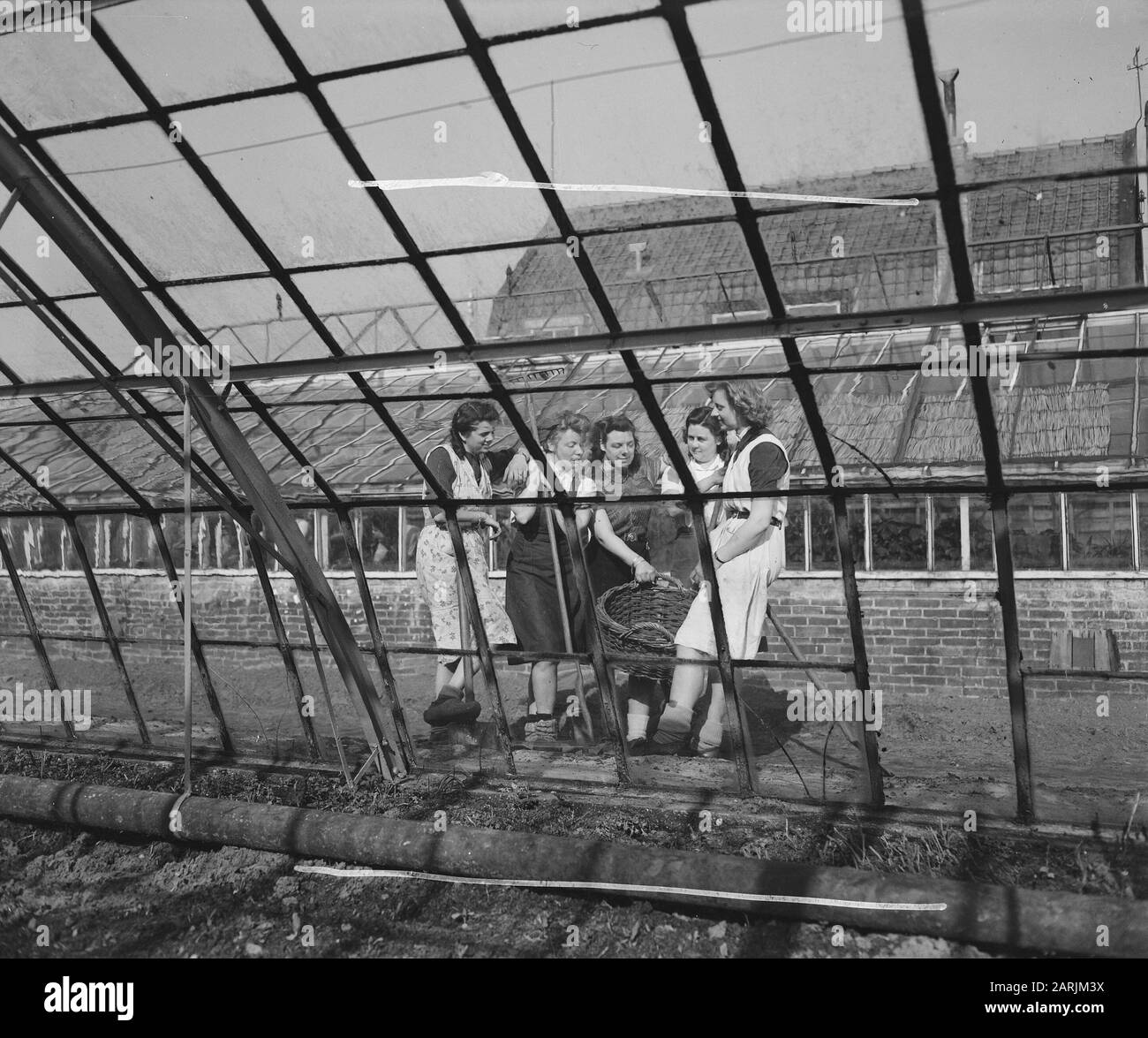 Scuola orticola Huize a Lande Rijswijk. Quartiere si parla visto da una delle serre Data: 1 aprile 1946 luogo: Rijswijk, Zuid-Holland Parole Chiave: Serre, ragazze, istruzione, studenti di scuola, orticoltura Foto Stock Scuola orticola Huize a Lande Rijswijk. Quartiere si parla visto da una delle serre Data: 1 aprile 1946 luogo: Rijswijk, Zuid-Holland Parole Chiave: Serre, ragazze, istruzione, studenti di scuola, orticoltura Foto Stock
