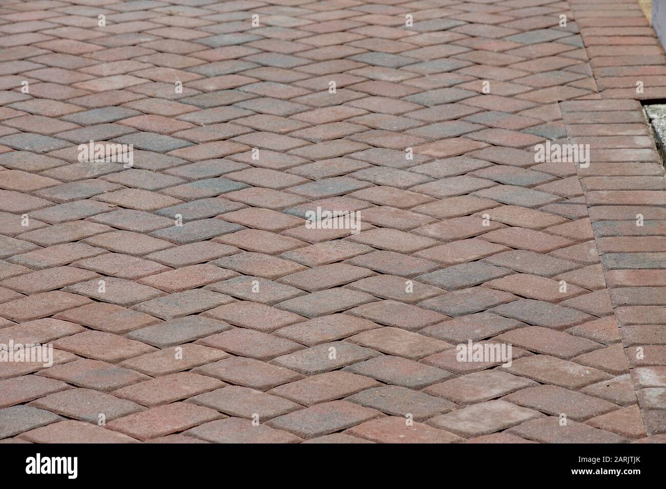 esempi finiti di vialetto posato con motivo a spina di pesce e finitrici per camminatori Foto Stock