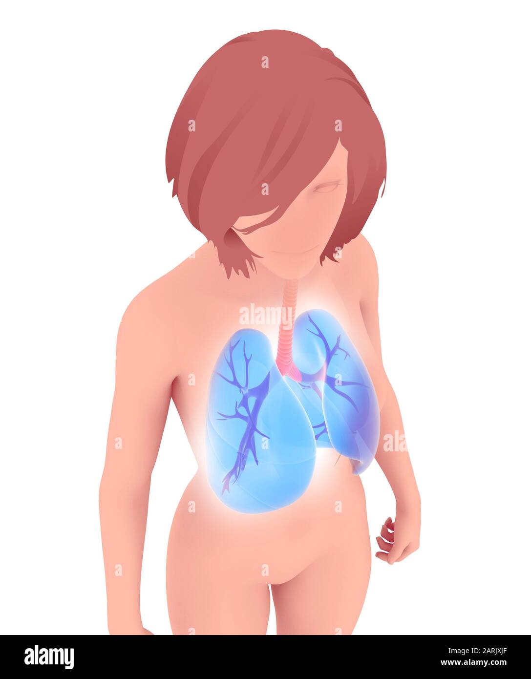 3d e illustrazione della linea dei polmoni umani e dei bronchi. Con la silhouette di una donna dal profilo bianco sfocato. Vista dall'alto. Foto Stock