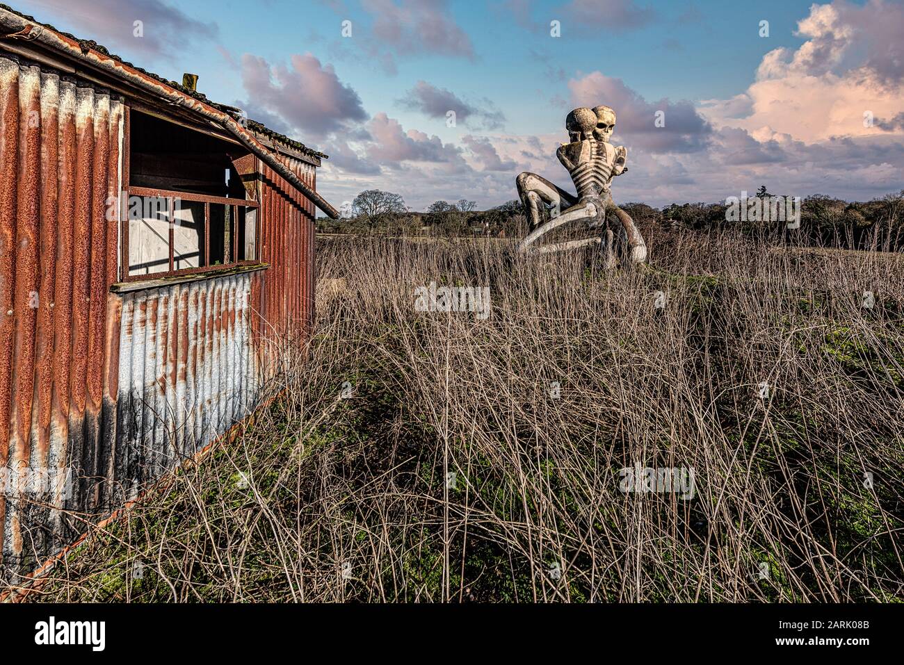 "La sopravvivenza dei Nuba" In un campo isolato vicino a un fienile fatiscente si trova questa agghiacciante rappresentazione della situazione dei popoli nuba del Sudan. Foto Stock