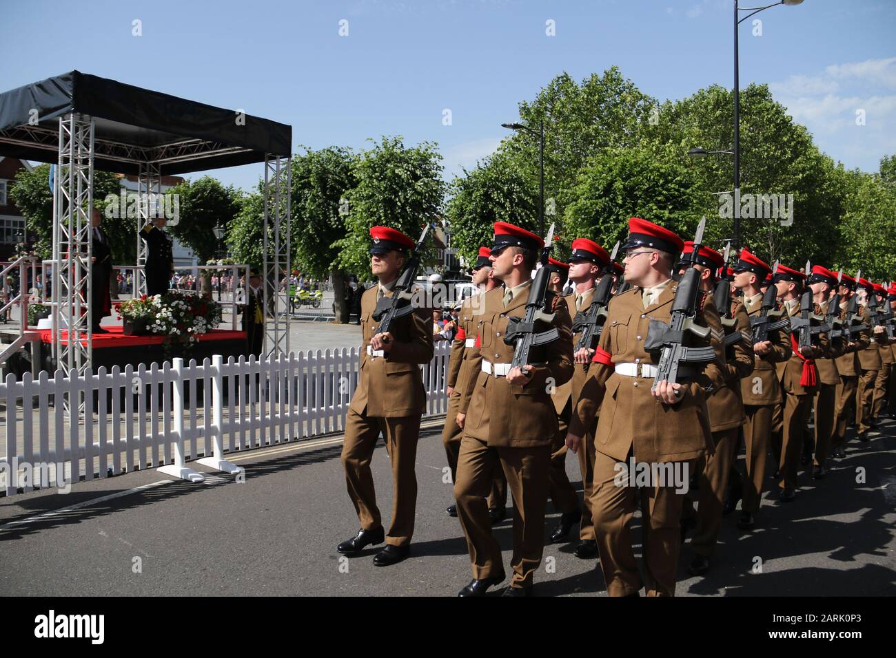 HRH The Princess Royal, Principessa Anna che partecipa all'evento della Giornata Nazionale delle Forze Armate del 2019 a Salisbury. Le Frecce rosse seguirono una sfilata di forze armate intorno a Salisbury. Foto Stock