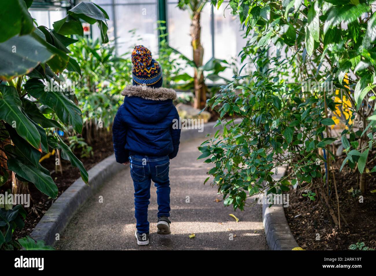Un ragazzino di abbigliamento invernale che cammina attraverso un sentiero circondato da verdi alberi tropicali Foto Stock