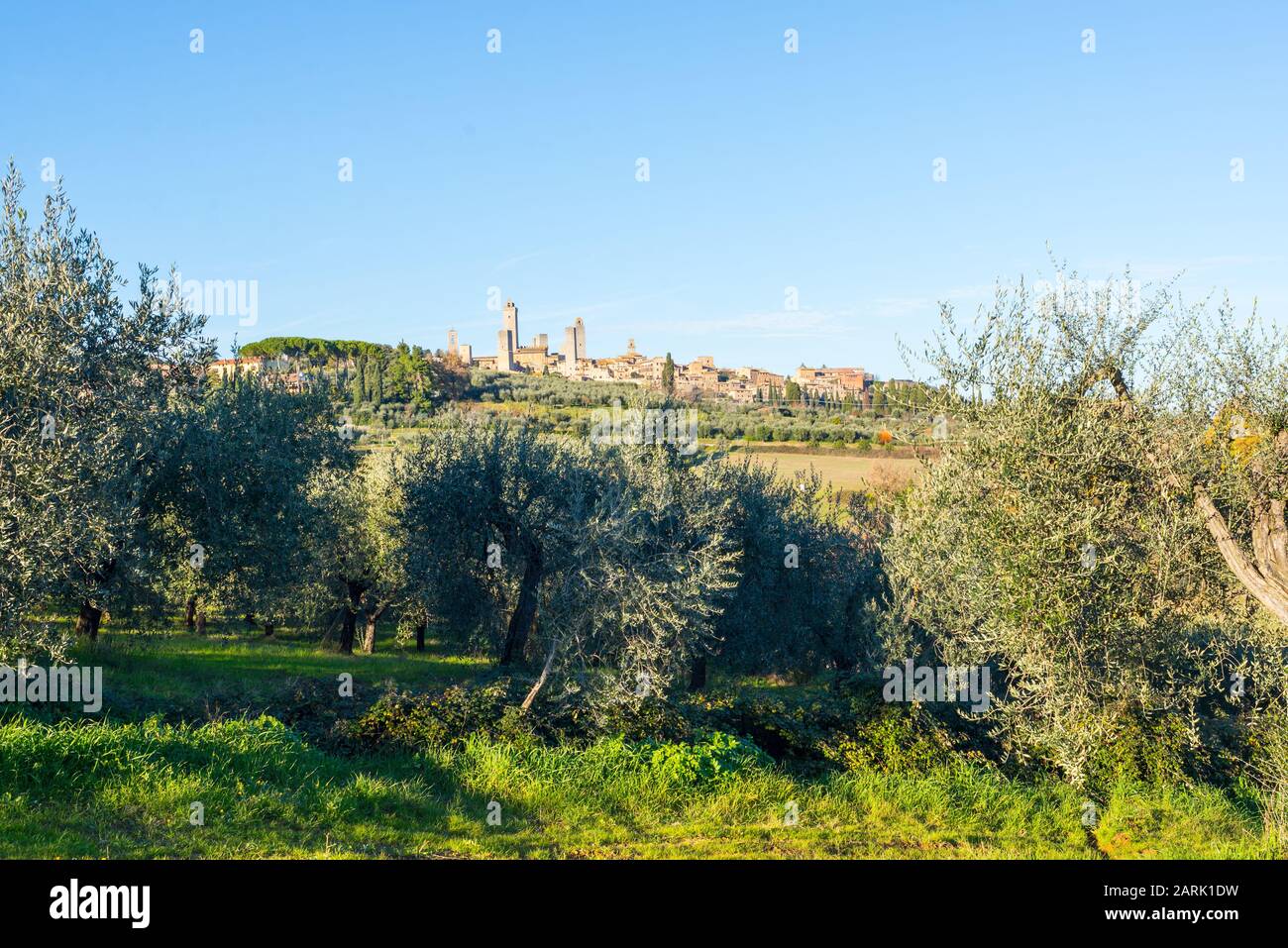 Vista sulla città italiana di San Gimignano, una piccola cittadina collinare medievale fortificata in Toscana conosciuta come la Città delle belle Torri. Paesaggio toscano con colline Foto Stock