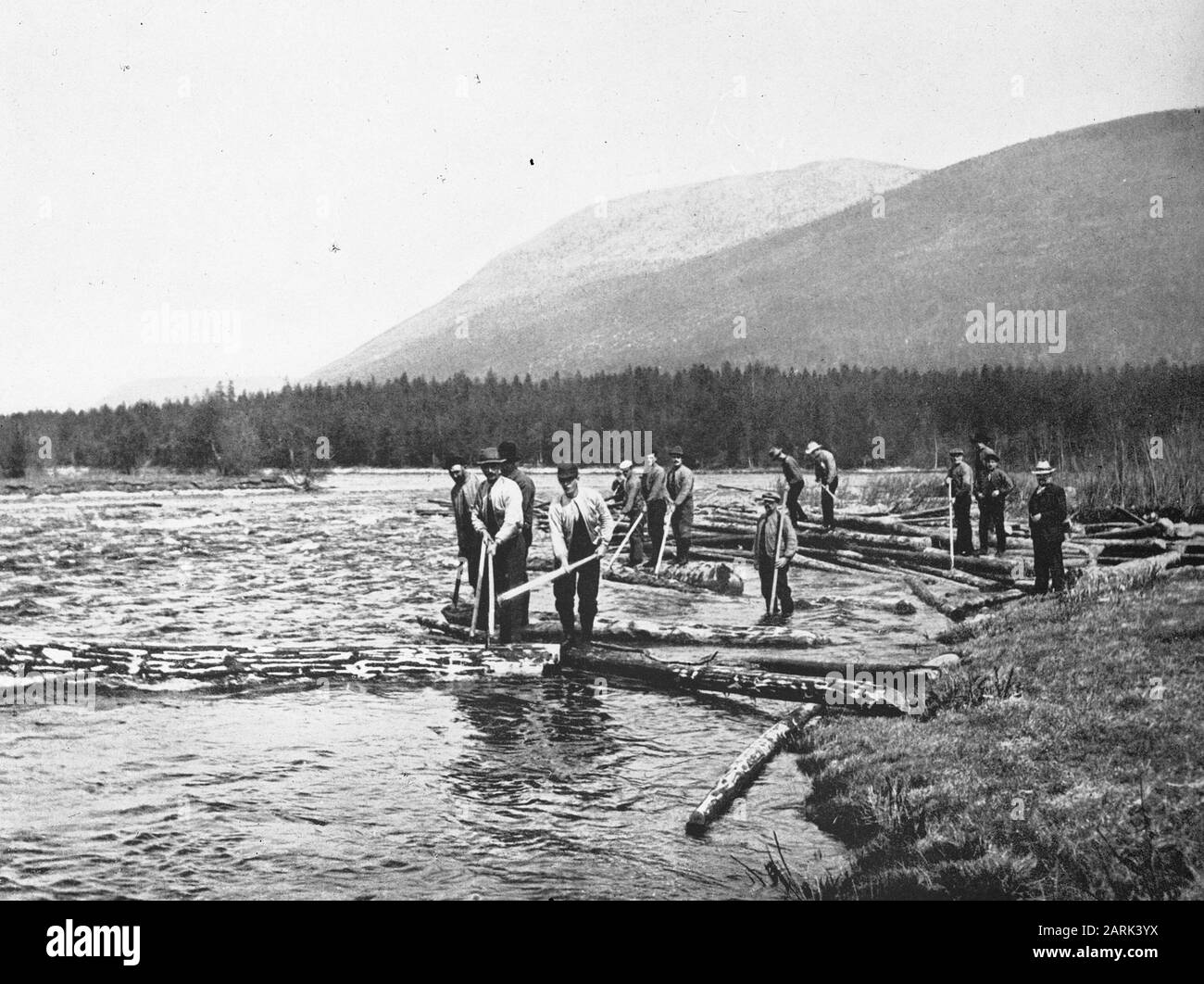 Trasporto del legno all'acqua//Data: Unundated luogo: Svezia Parole Chiave: Selvicoltura, logging e trasporto Foto Stock