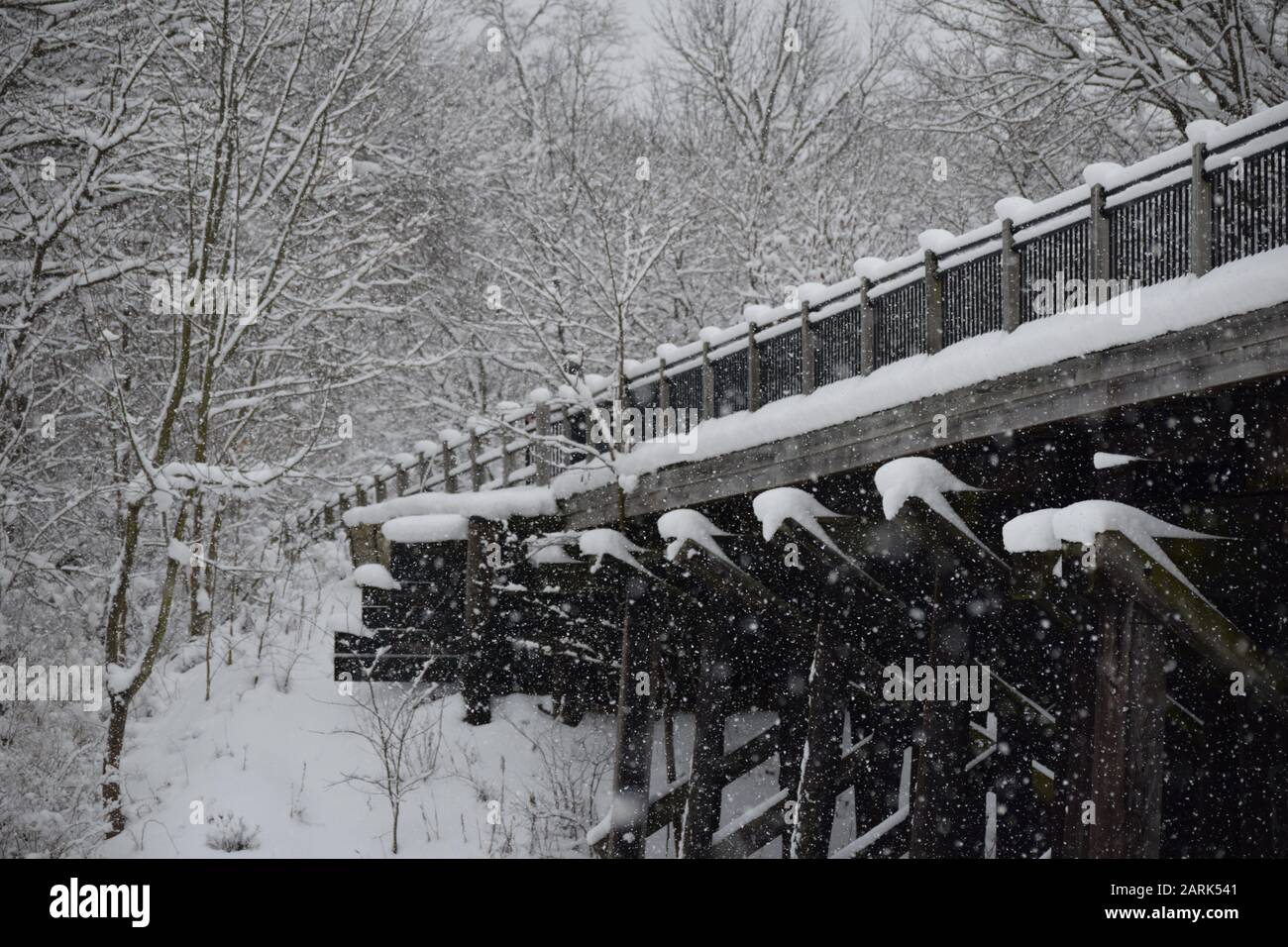 Trenino in legno Trespolo nei boschi in una mattina invernale innevata. Foto Stock