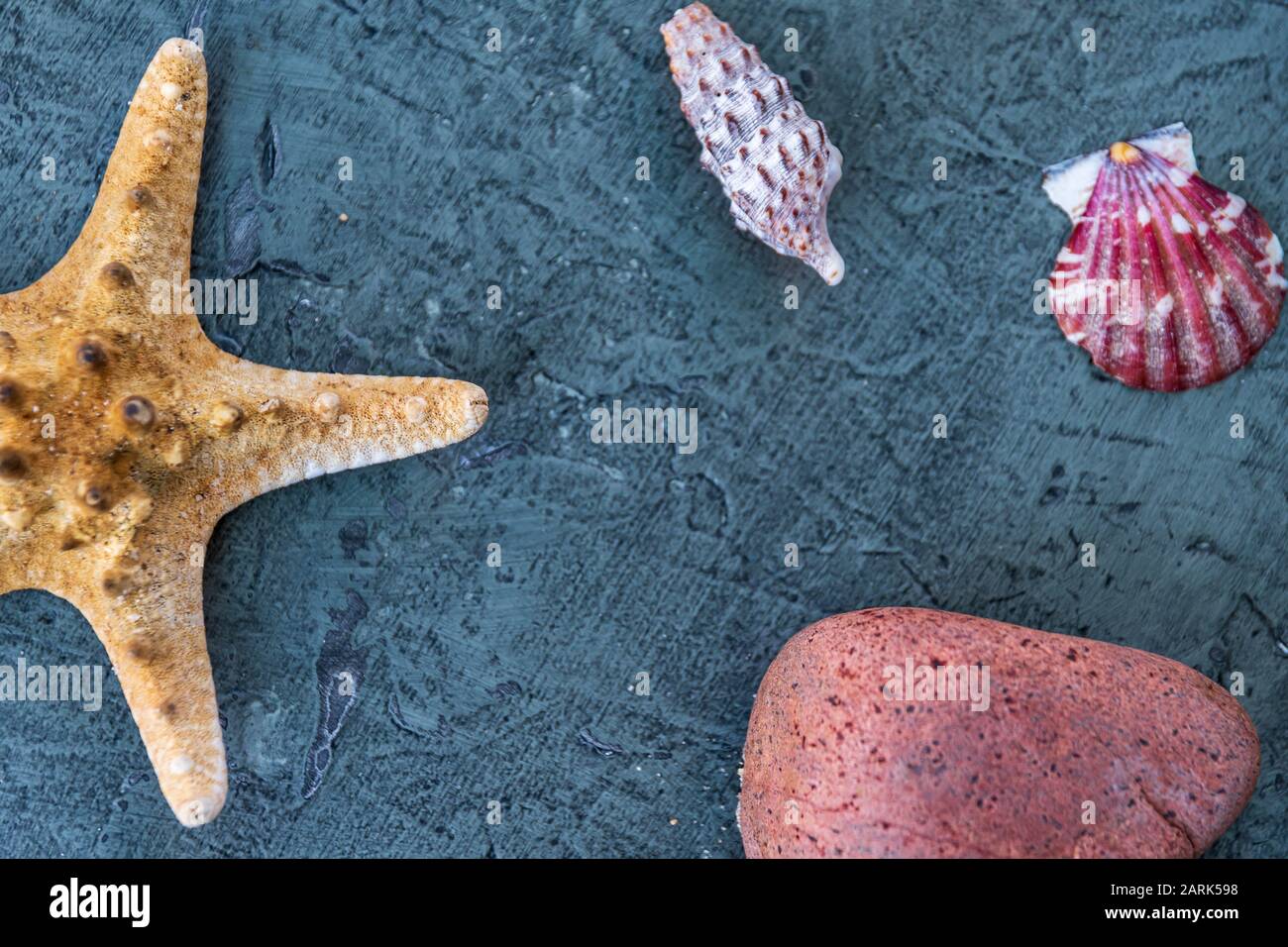Starfish accanto a lumache e rocce su legno rustico per ornamento o sfondo Foto Stock