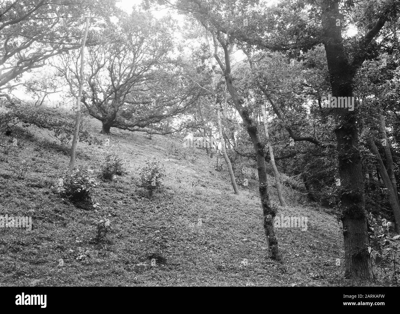 Parzialmente superato Data: Parole Chiave dense: Dune Foto Stock