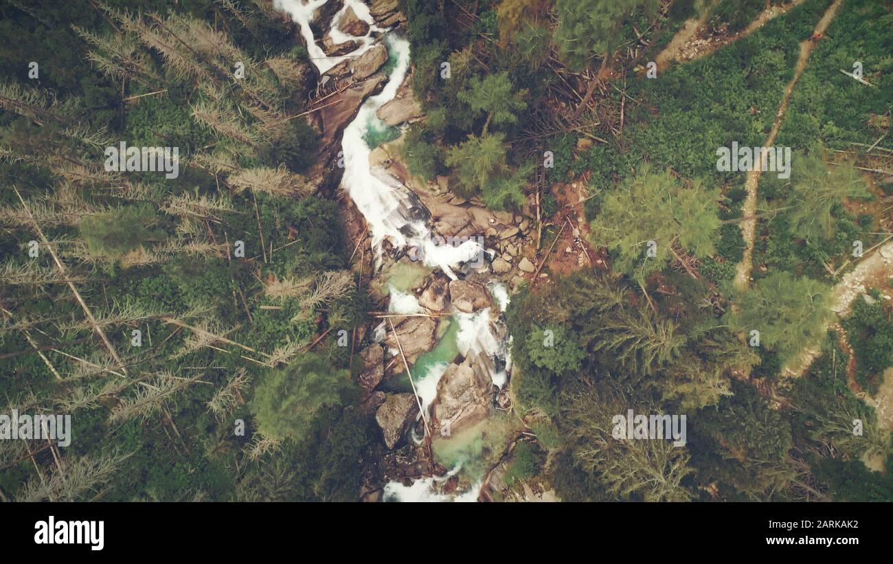 Vista Dall'Alto Verso Il Basso Della Fast Rapid Stream Pine Forest. Babbling Cascade River. Drone Cinematico In Legno Di Conifere Denso. Volare Sulla Slovacchia Woodland. Paesaggio Di Montagna Di Tatry. Foto Stock