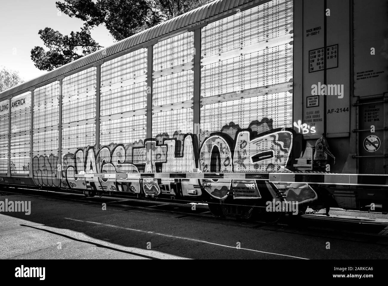 Primo piano di graffiti sulla macchina ferroviaria che trasporta nuovi veicoli dal Messico a Nogales, AZ, USA, in bianco e nero Foto Stock