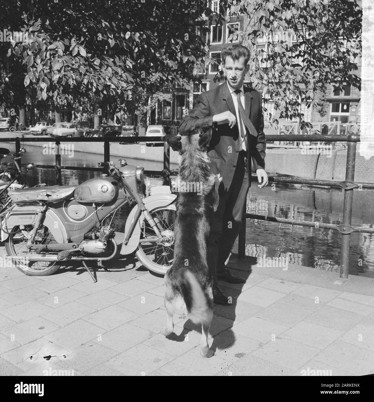 Cane attaccante uomo Data: 24 settembre 1964 Parole Chiave: Attacchi, cani, uomini Foto Stock
