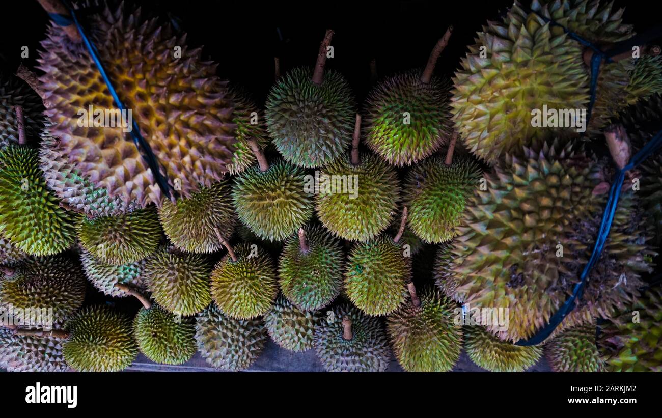 Grande gruppo Di Frutti Durian dall'Indonesia Foto Stock