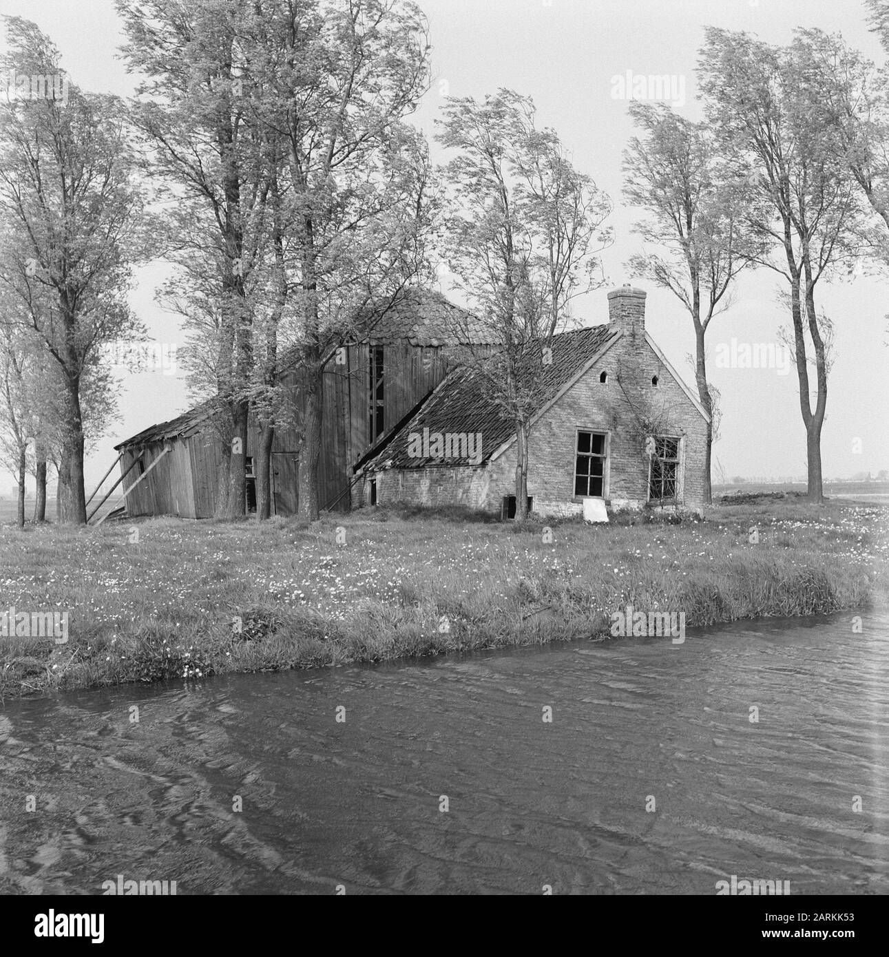 Edifici, fattorie, inabitabili, Haskerveenpolder Data: Maggio 1960 Località: Haskerveenpolder Parole Chiave: Aziende agricole, edifici, inabitabili Foto Stock