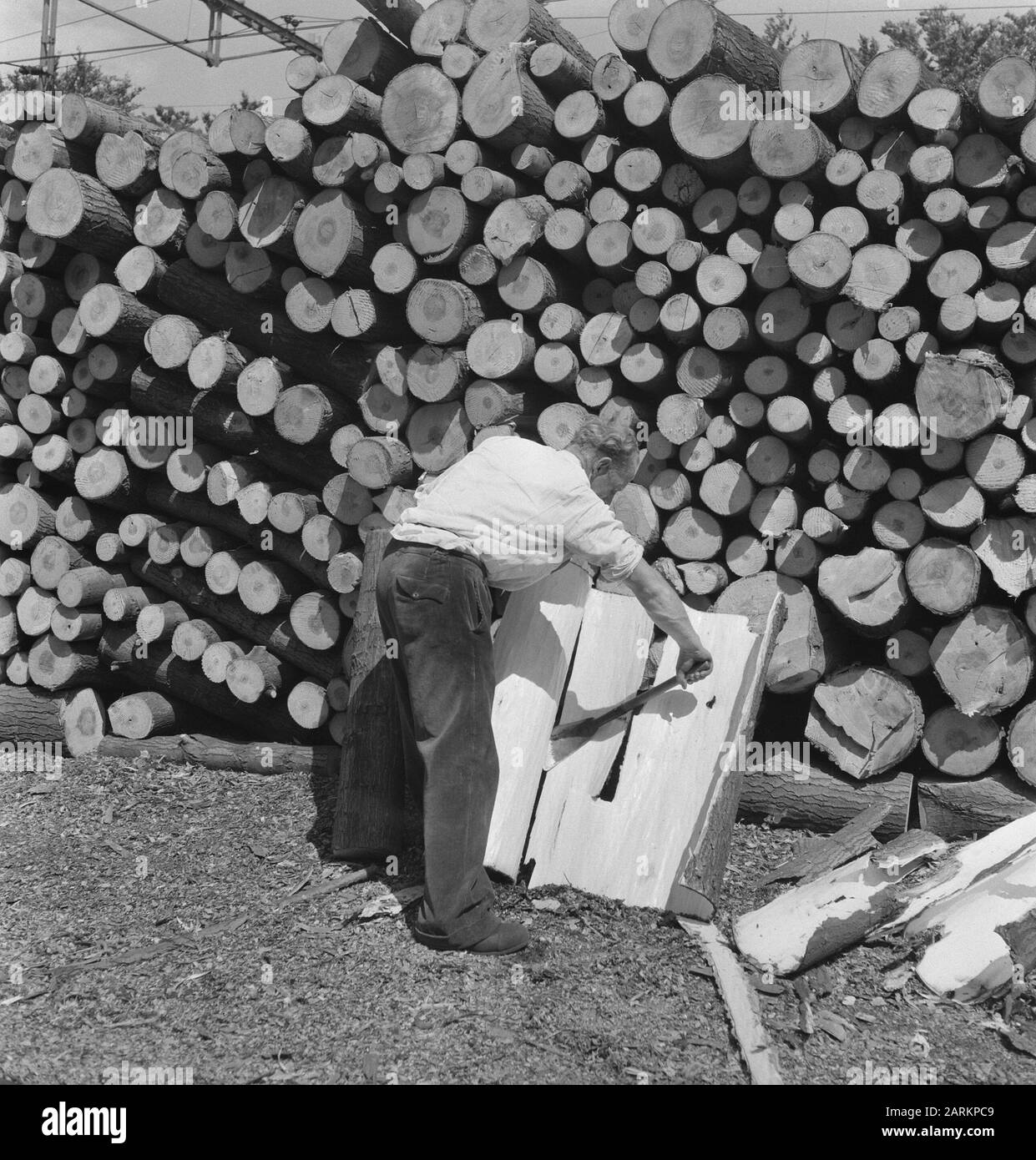 Deposito di legno, legno, operai Data: Parole Chiave non date: Operai, legno, deposito di legno Foto Stock