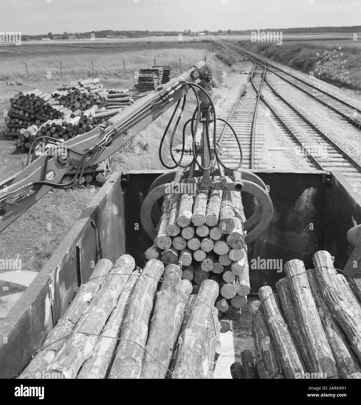 Luoghi di stoccaggio del legno, lavoratori, macchinari, attrezzi, vagoni ferroviari, linee ferroviarie Data: Parole Chiave non utilizzate: Lavoratori, magazzini in legno, macchinari, ferrovie, vagoni ferroviari, attrezzi Foto Stock