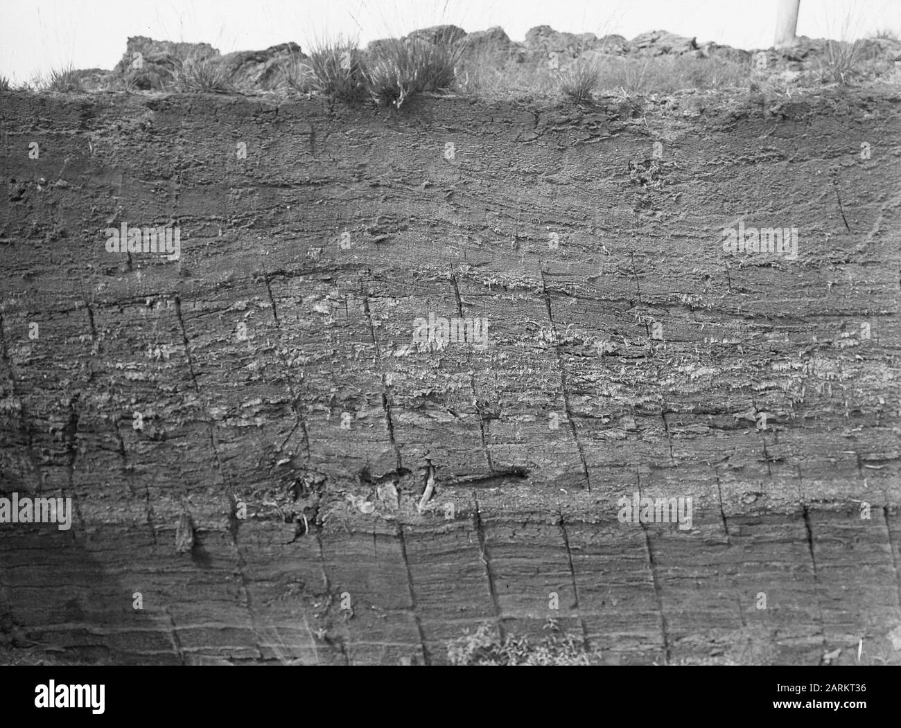 Profili di torba, Emmererfscheiderveen Data: Undate Location: Emmererfscheiderveen Parole Chiave: Profili di torba Foto Stock