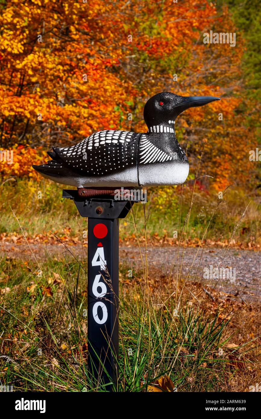 Una cassetta postale stradale loon vicino a Minocqua, Wisconsin, USA. Foto Stock