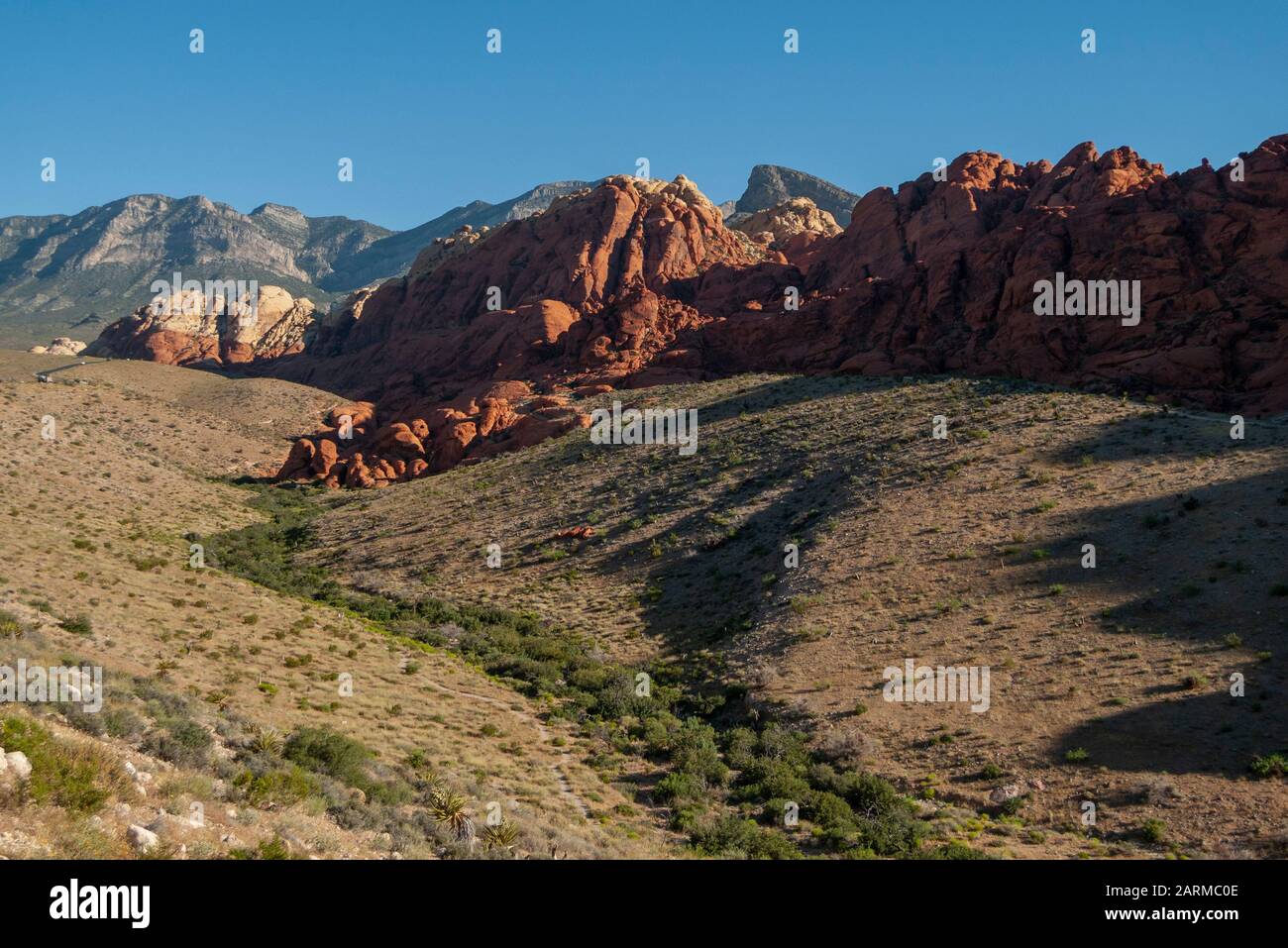 Le Colline Calico Nella Red Rock Canyon National Conservation Area Vicino A Las Vegas, Nevada, Stati Uniti D'America. Foto Stock