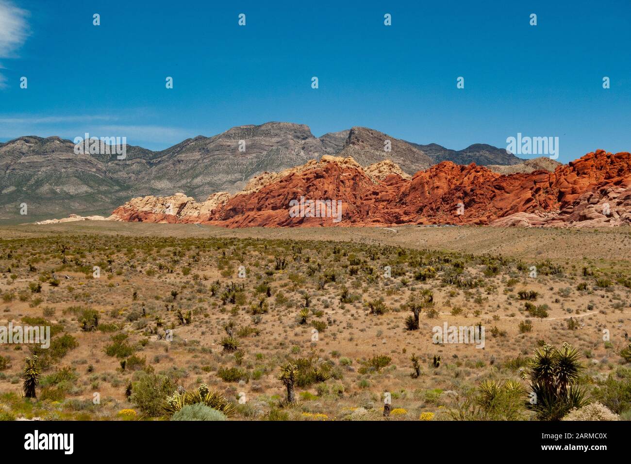 Le Colline Calico Nella Red Rock Canyon National Conservation Area Vicino A Las Vegas, Nevada, Stati Uniti D'America. Foto Stock