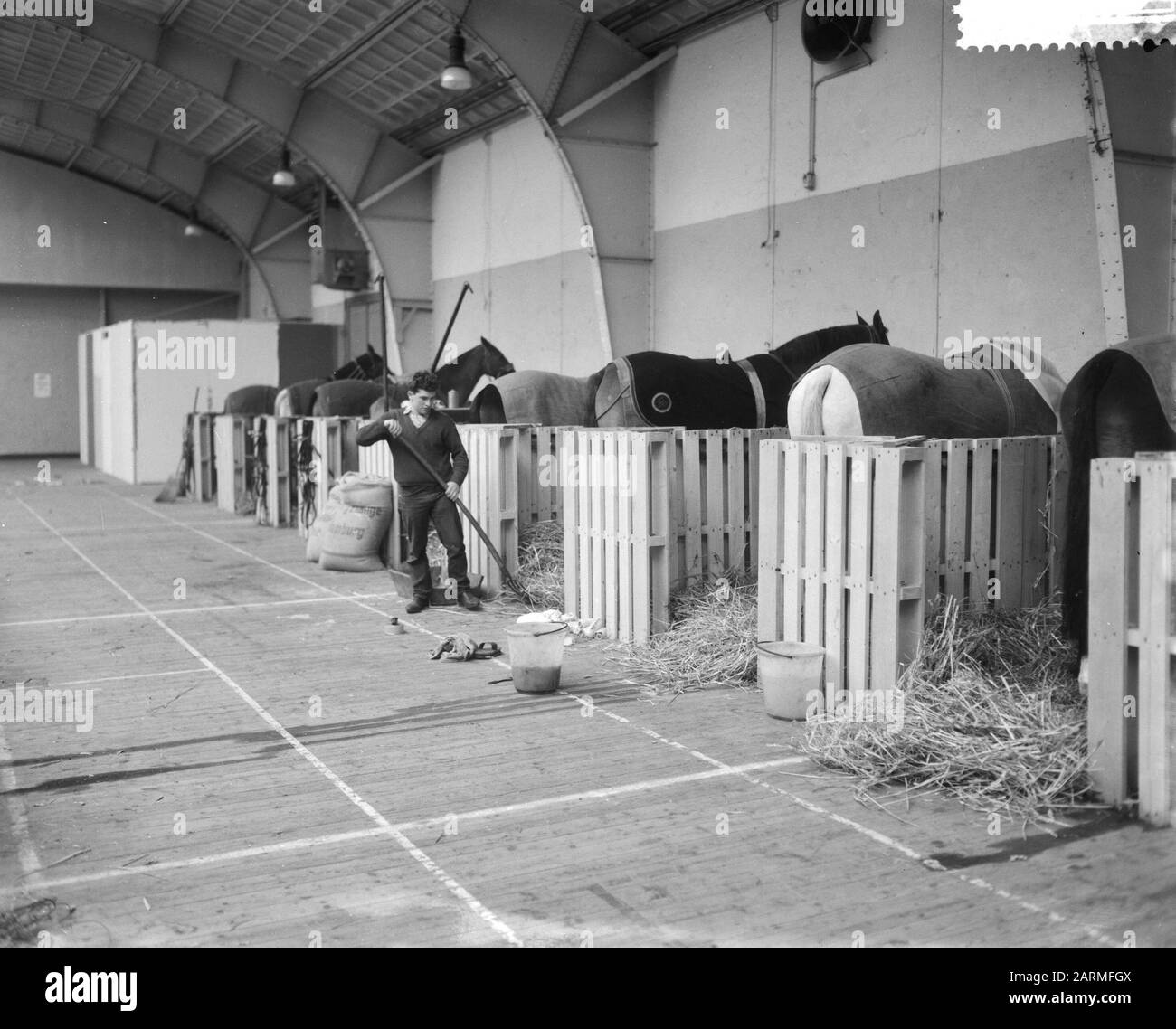 Preparativi per il Concorso Ippico nei cavalli RAI nelle scuderie Data: 17 novembre 1960 Parole Chiave: Corsi, CAVALLI, Preparazioni, stalle Nome istituto: Rai Foto Stock